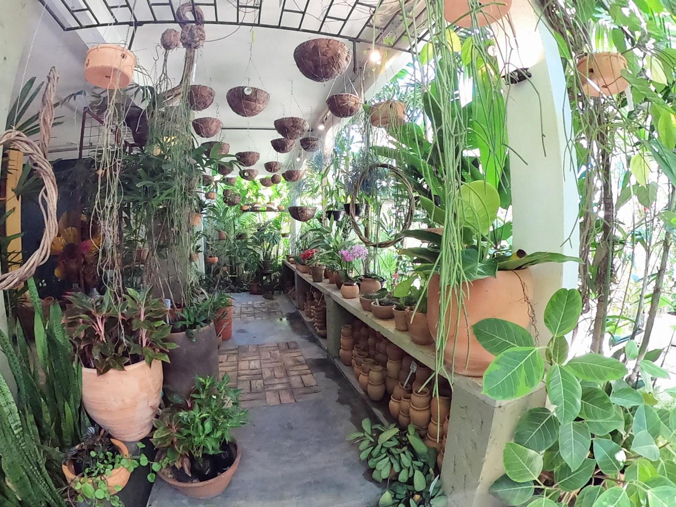 Residencial Casa Flor Atelier Botânico, Ponta Negra