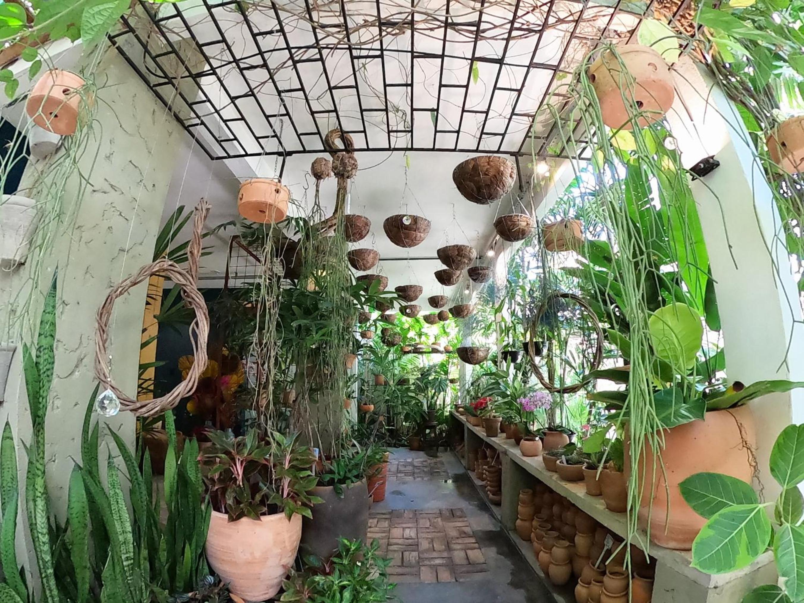 Residencial Casa Flor Atelier Botânico, Ponta Negra