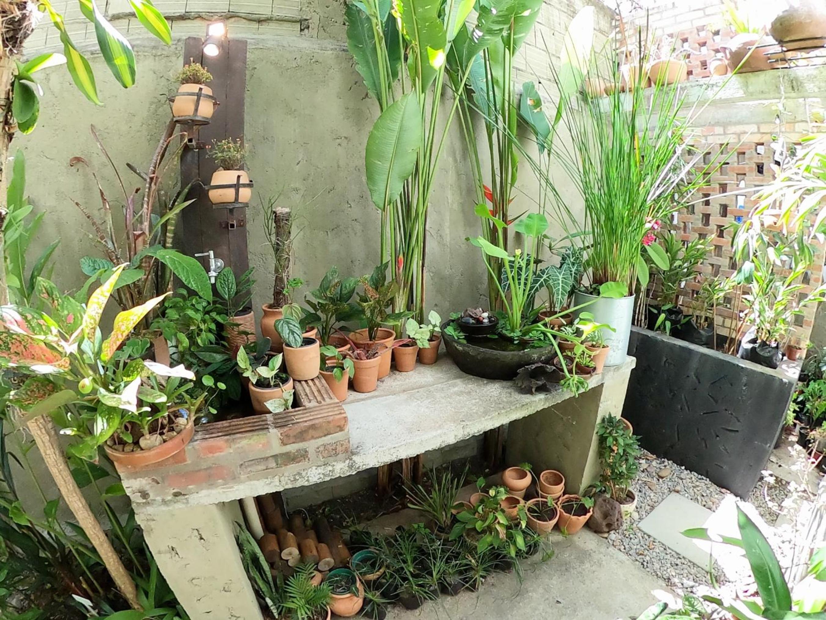 Residencial Casa Flor Atelier Botânico, Ponta Negra