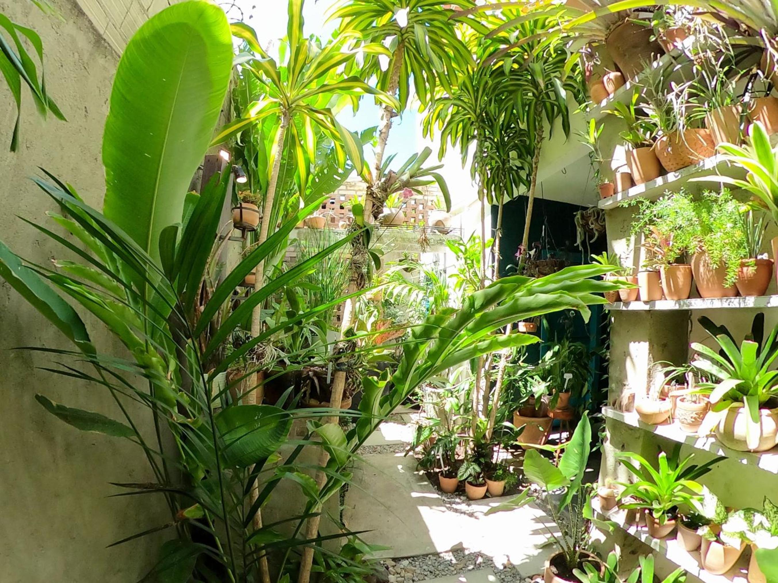 Residencial Casa Flor Atelier Botânico, Ponta Negra