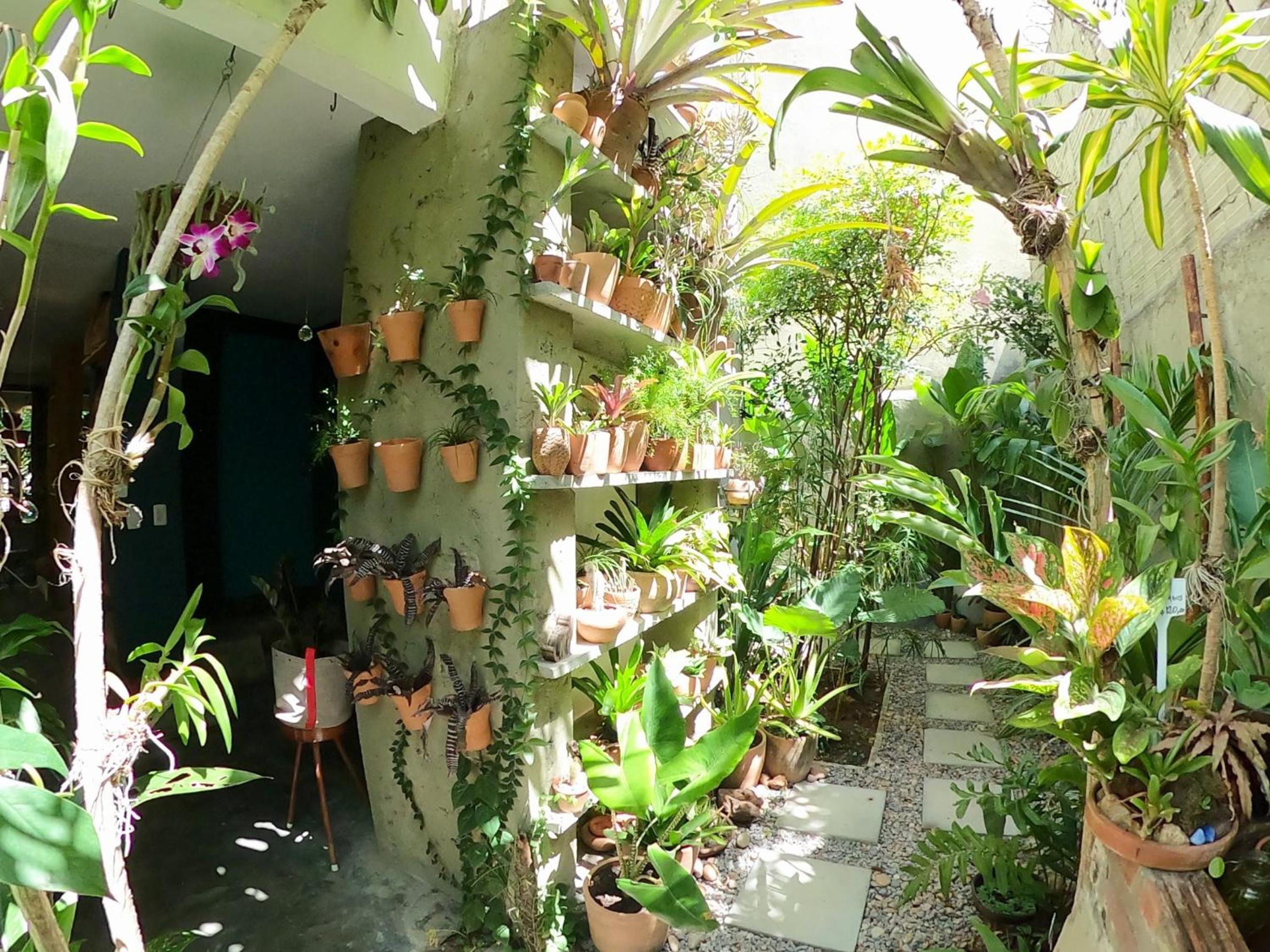 Residencial Casa Flor Atelier Botânico, Ponta Negra