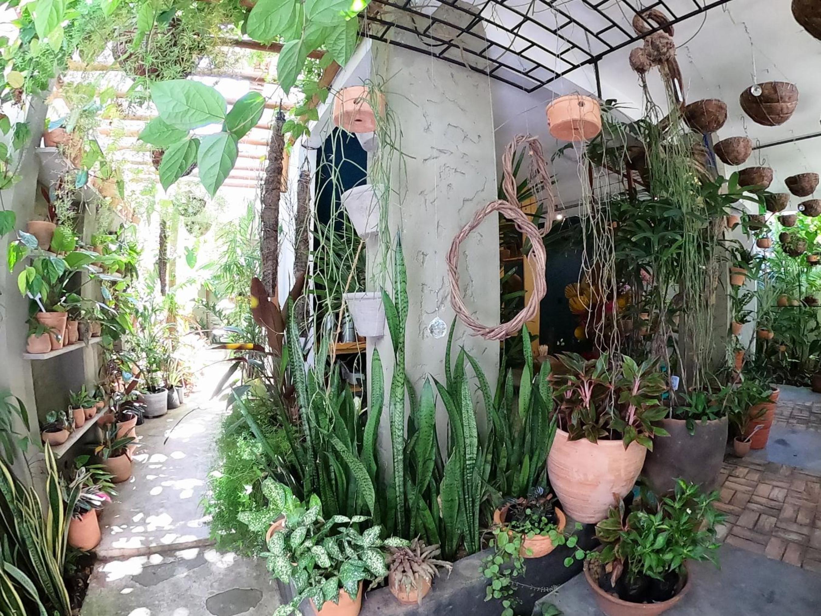 Residencial Casa Flor Atelier Botânico, Ponta Negra
