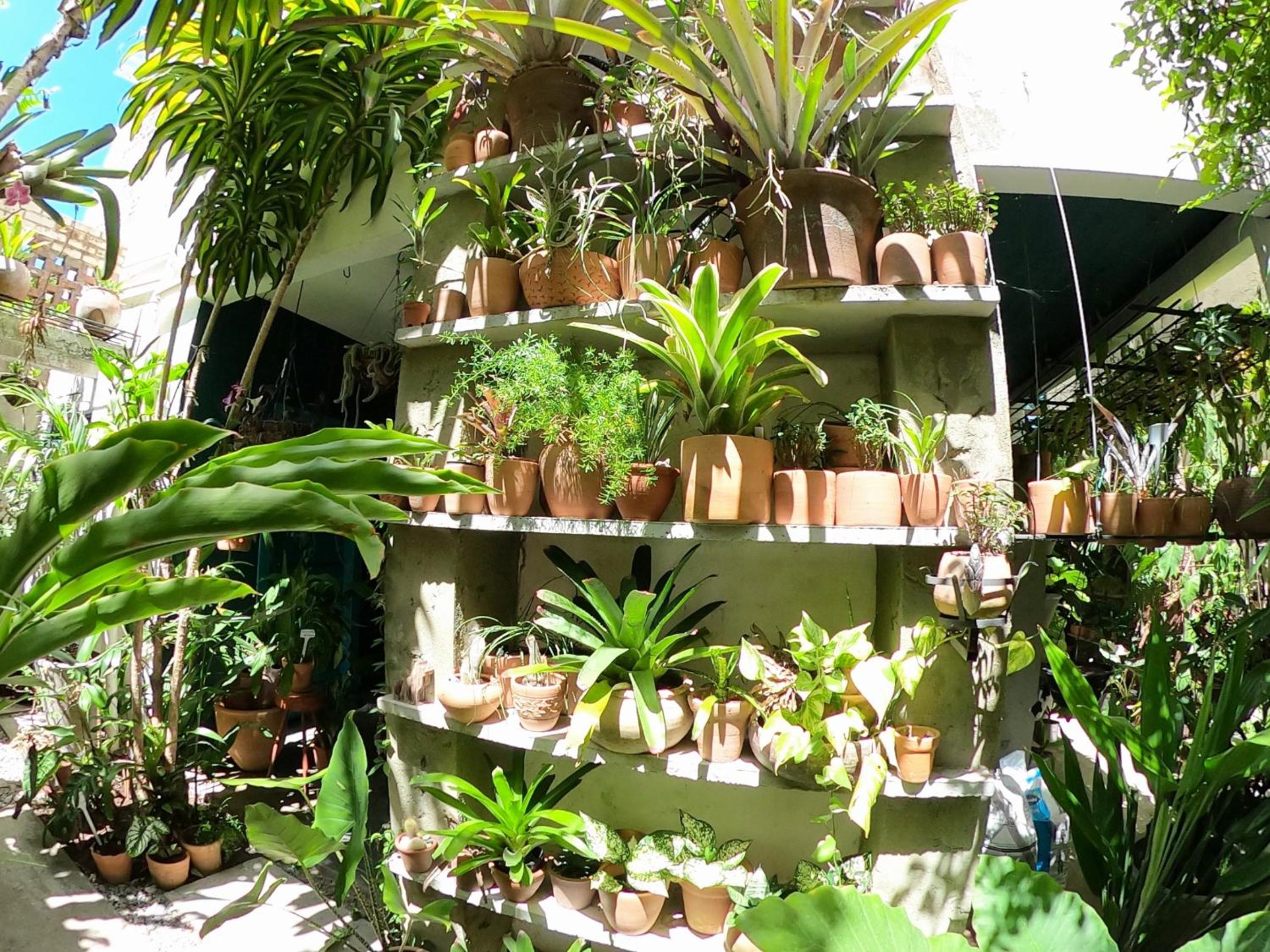 Residencial Casa Flor Atelier Botânico, Ponta Negra
