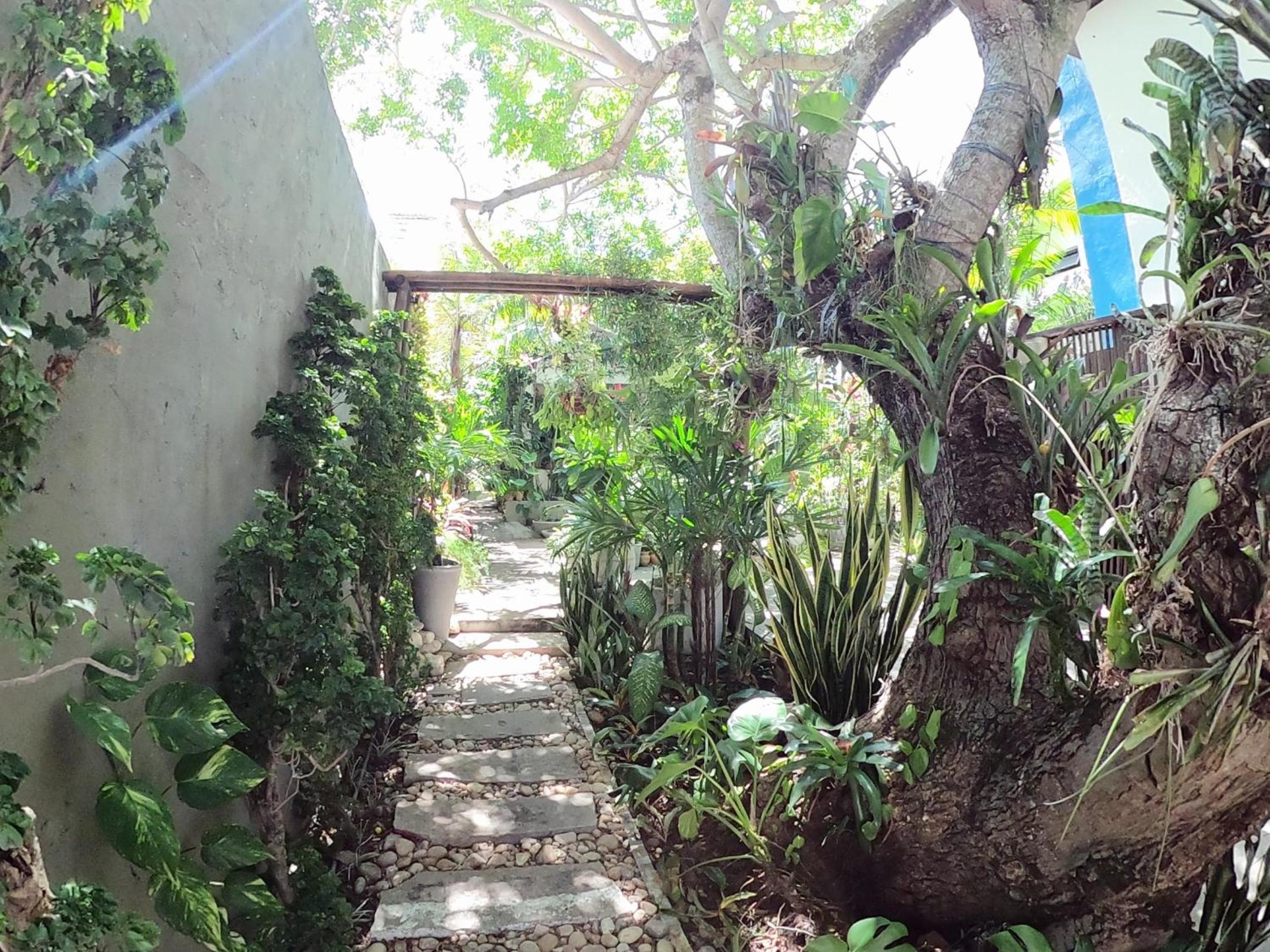 Residencial Casa Flor Atelier Botânico, Ponta Negra