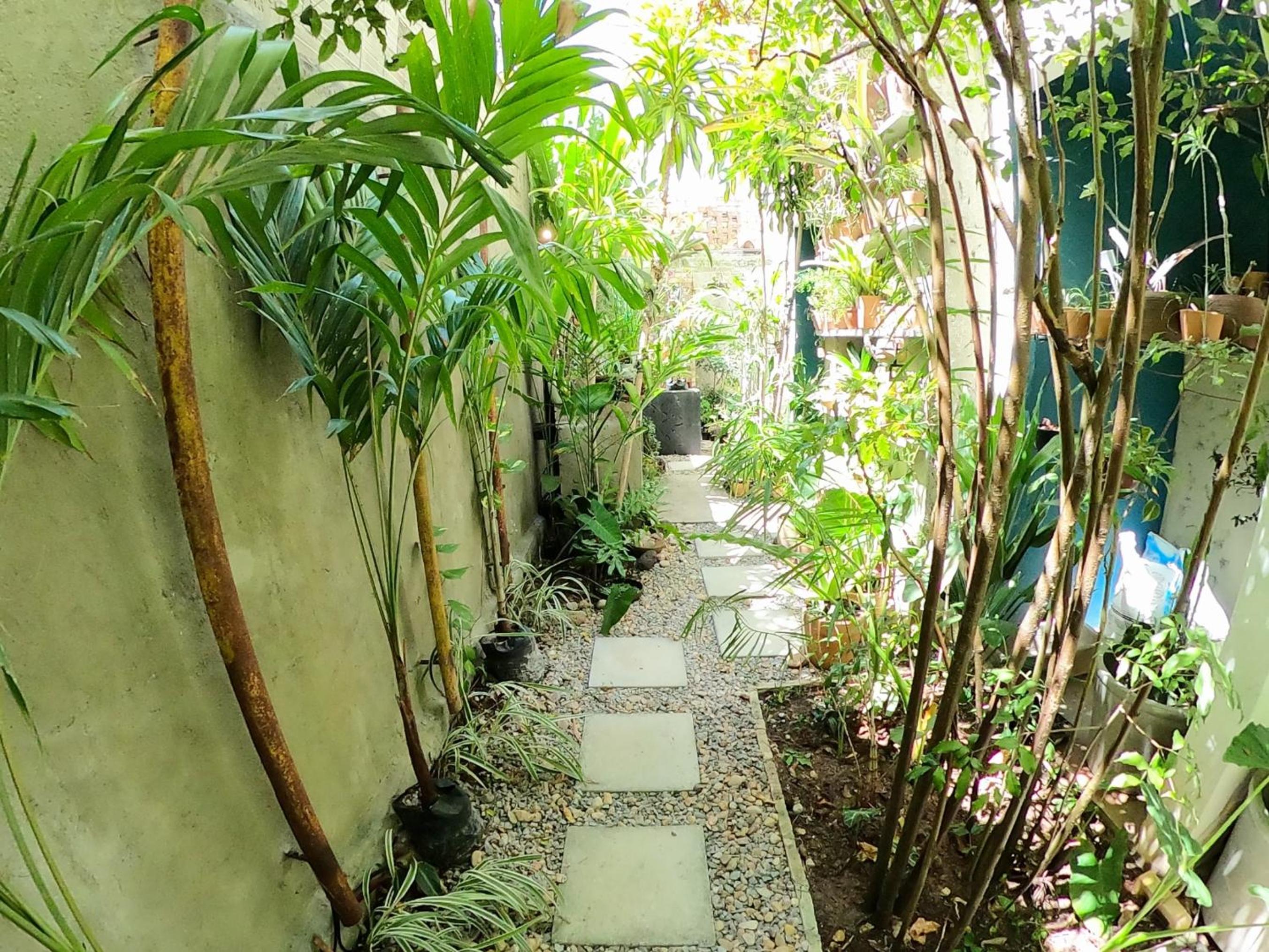Residencial Casa Flor Atelier Botânico, Ponta Negra