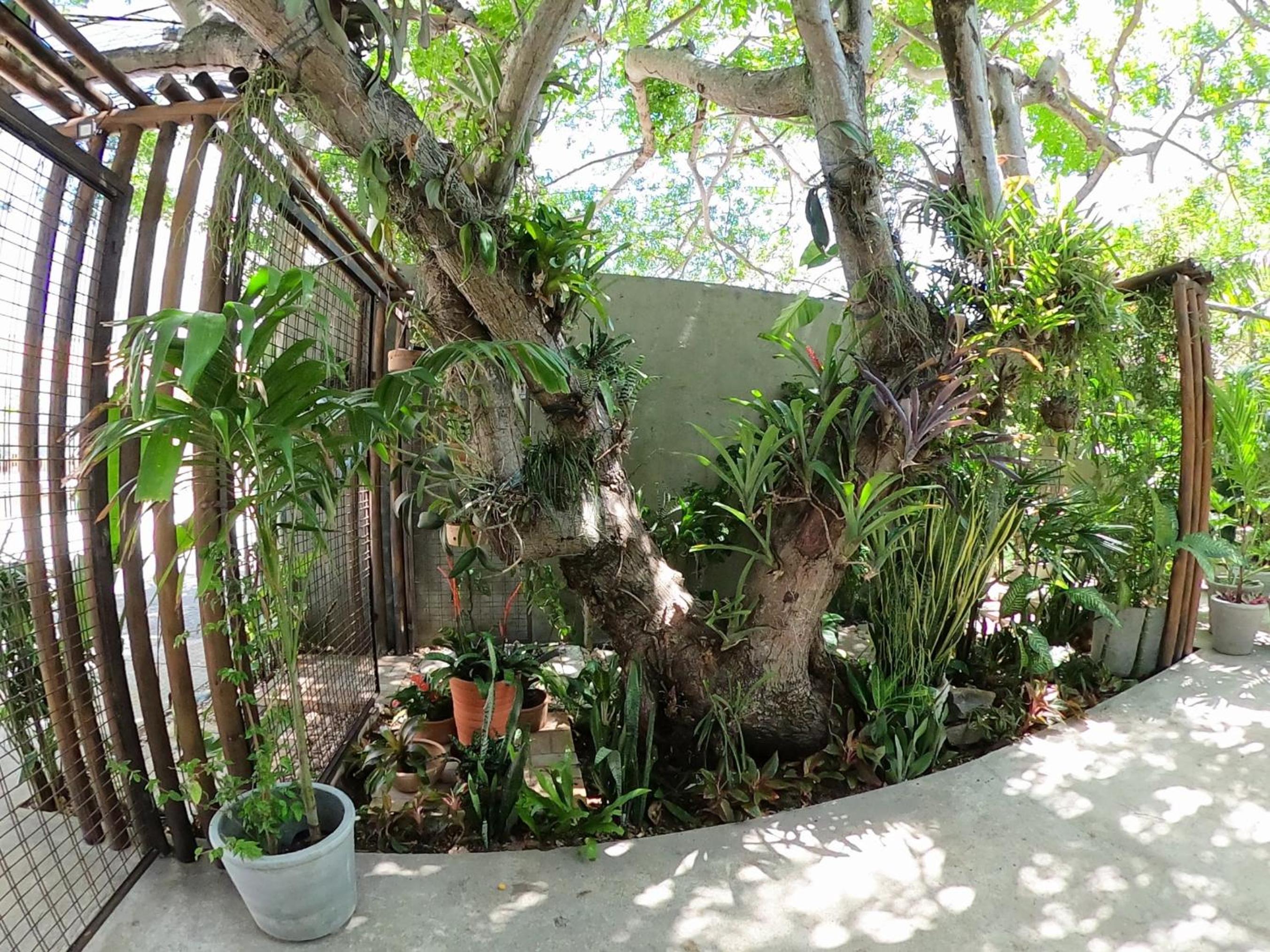 Residencial Casa Flor Atelier Botânico, Ponta Negra