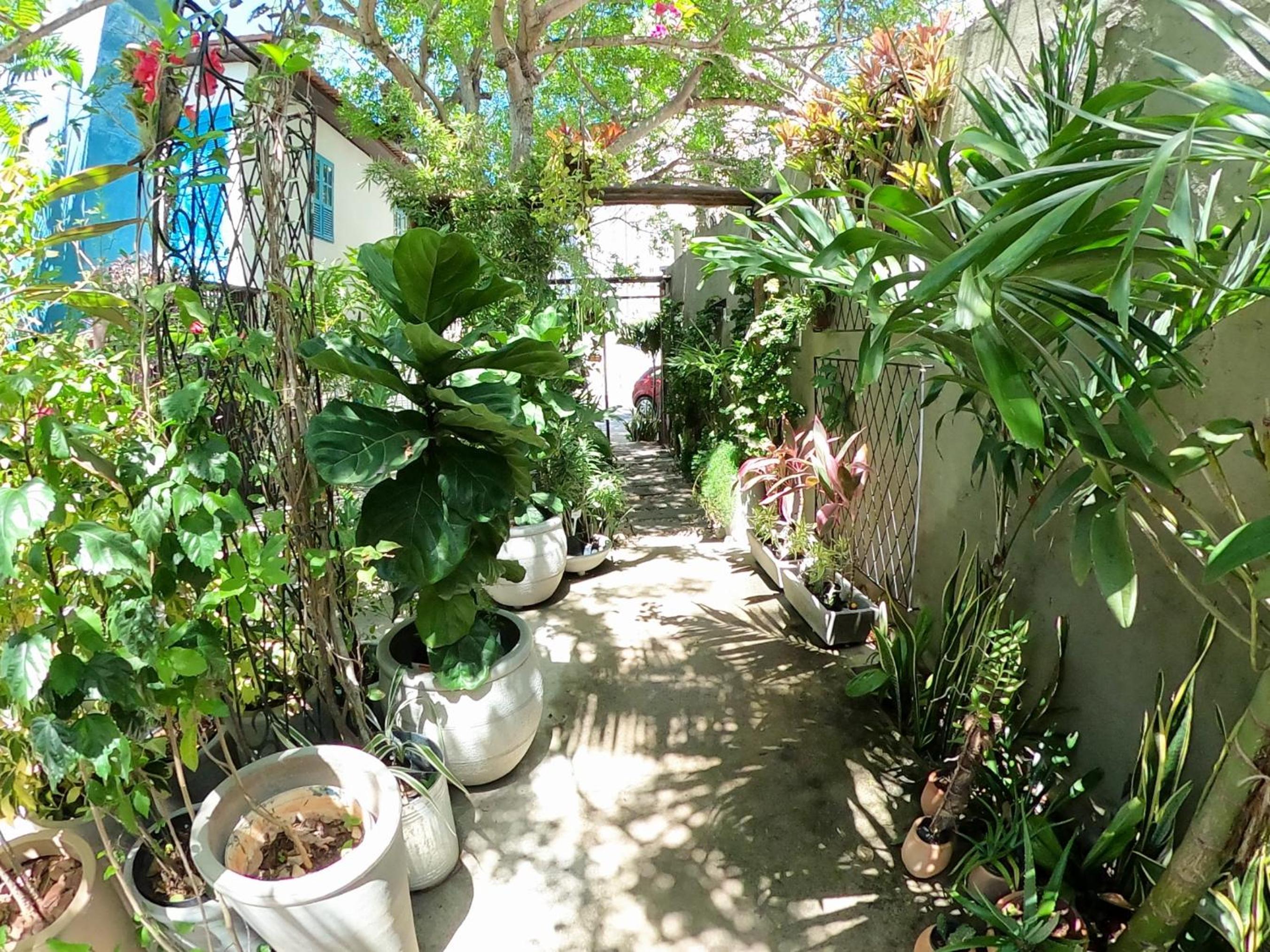 Residencial Casa Flor Atelier Botânico, Ponta Negra