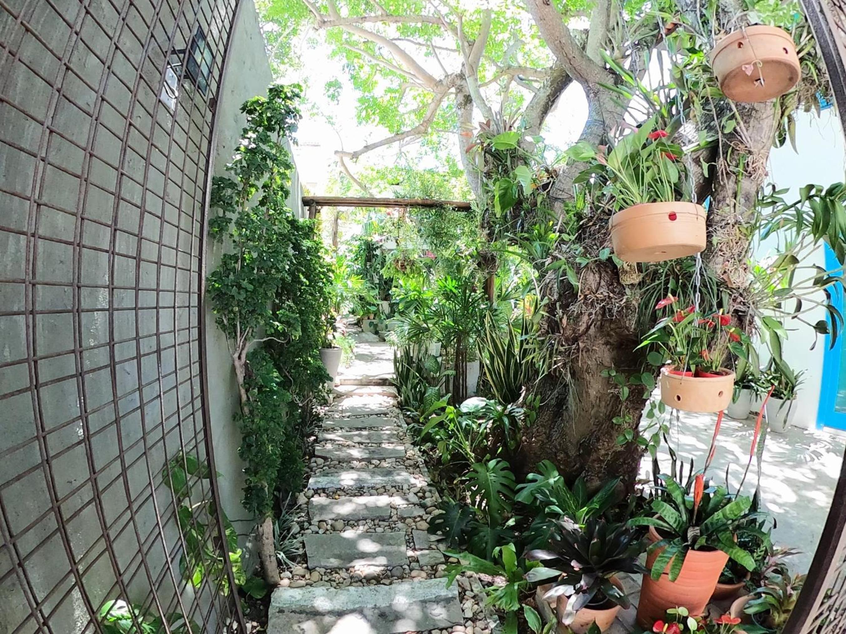 Residencial Casa Flor Atelier Botânico, Ponta Negra