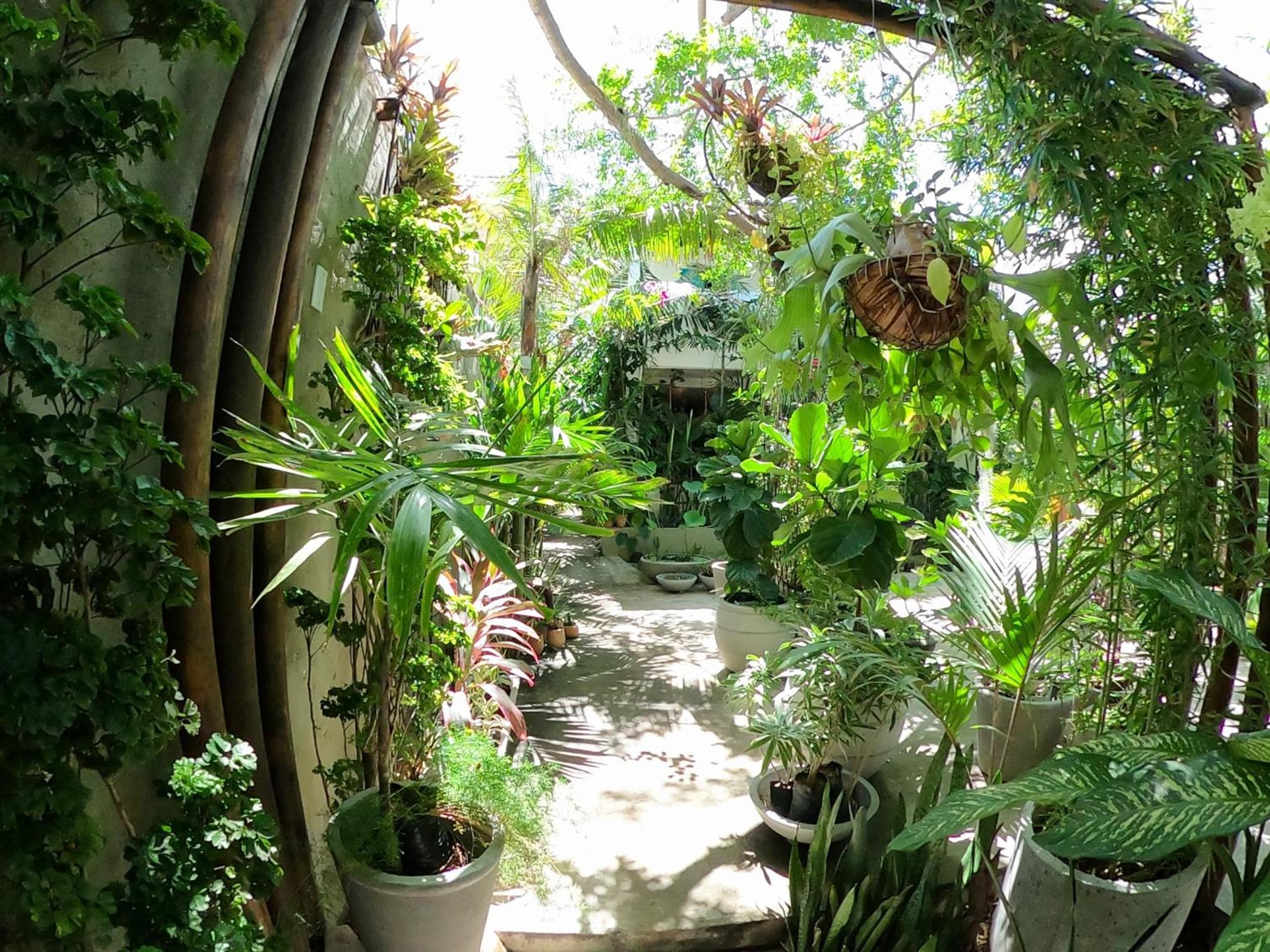 Residencial Casa Flor Atelier Botânico, Ponta Negra