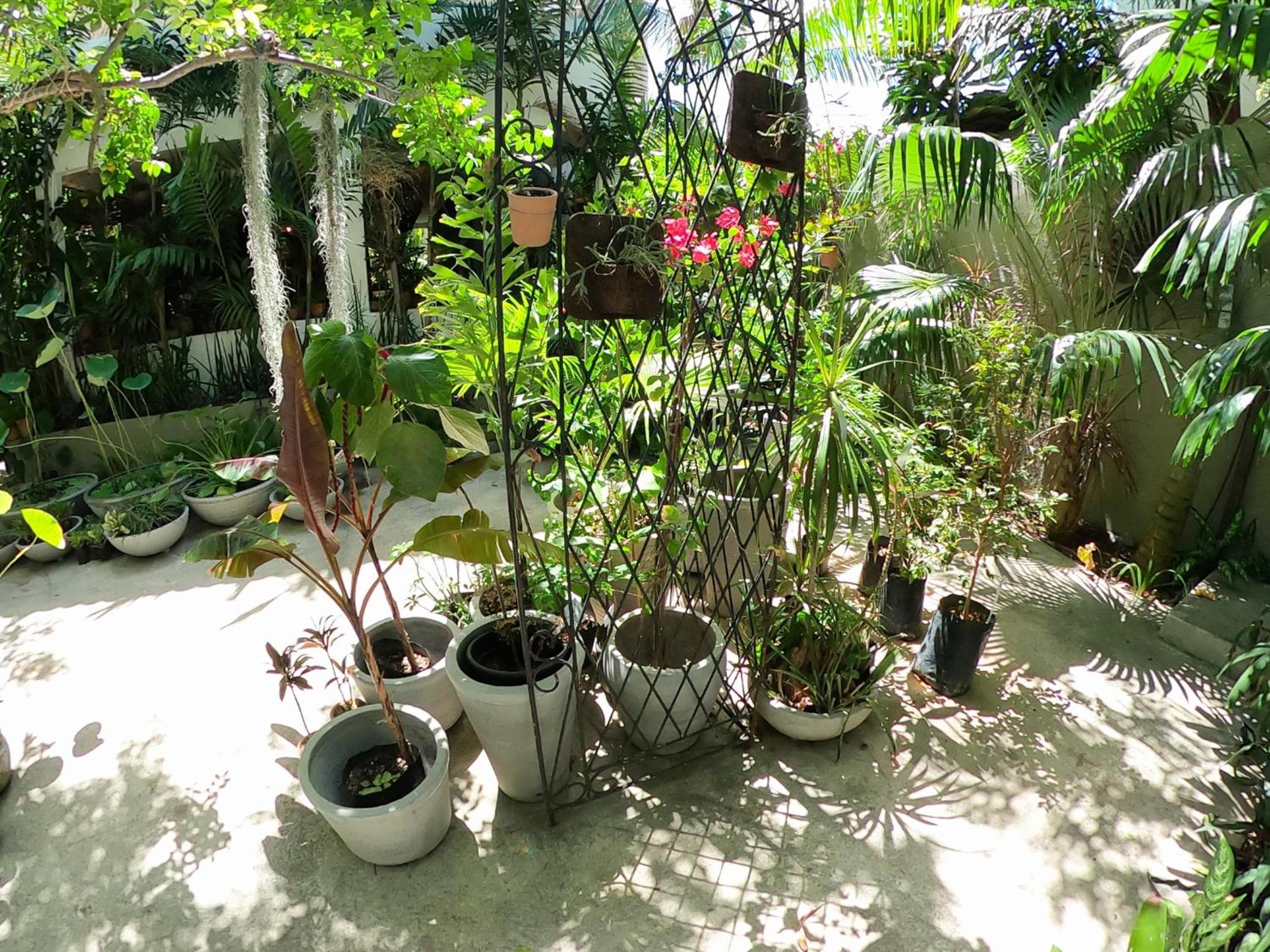 Residencial Casa Flor Atelier Botânico, Ponta Negra