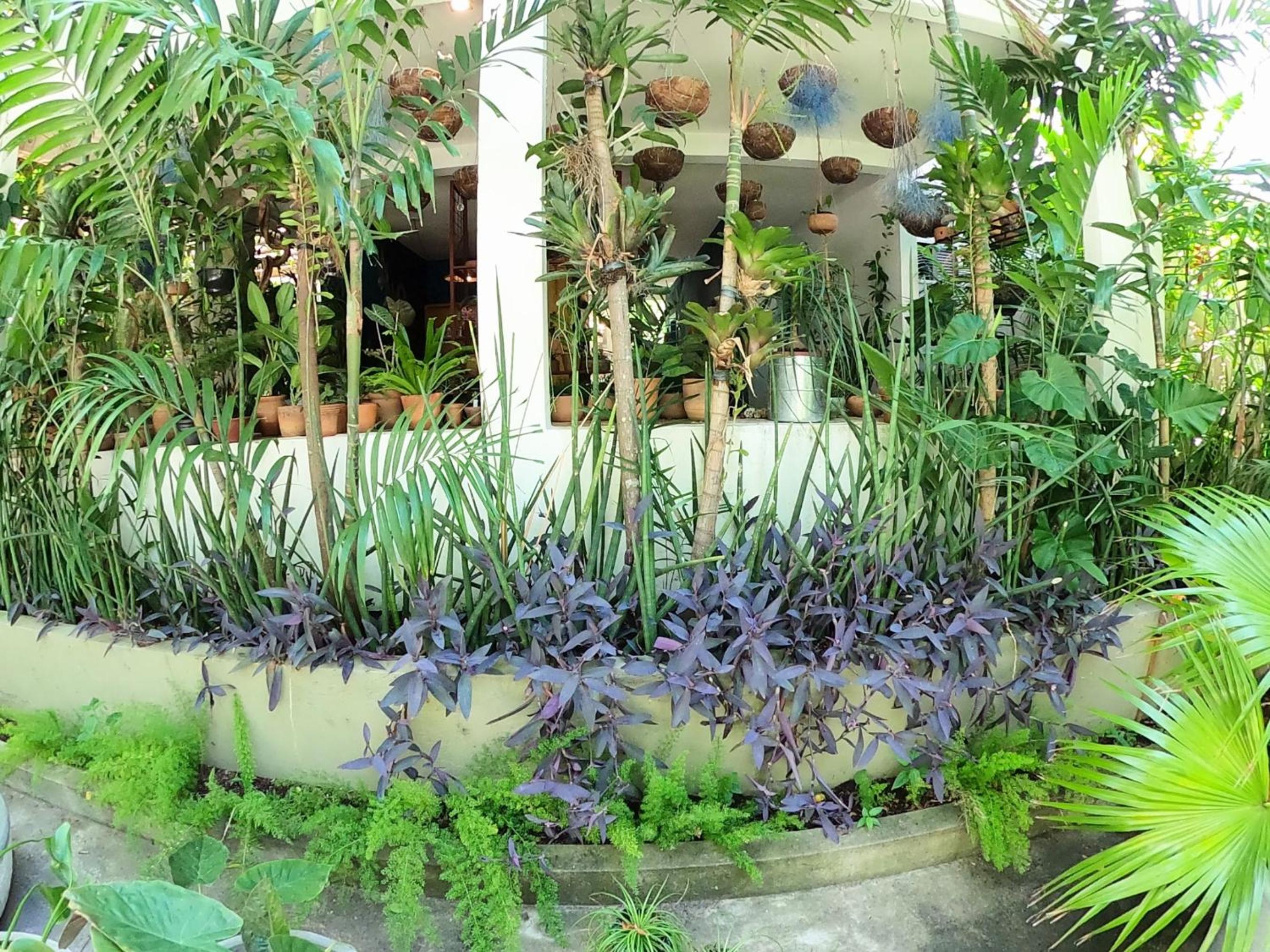 Residencial Casa Flor Atelier Botânico, Ponta Negra