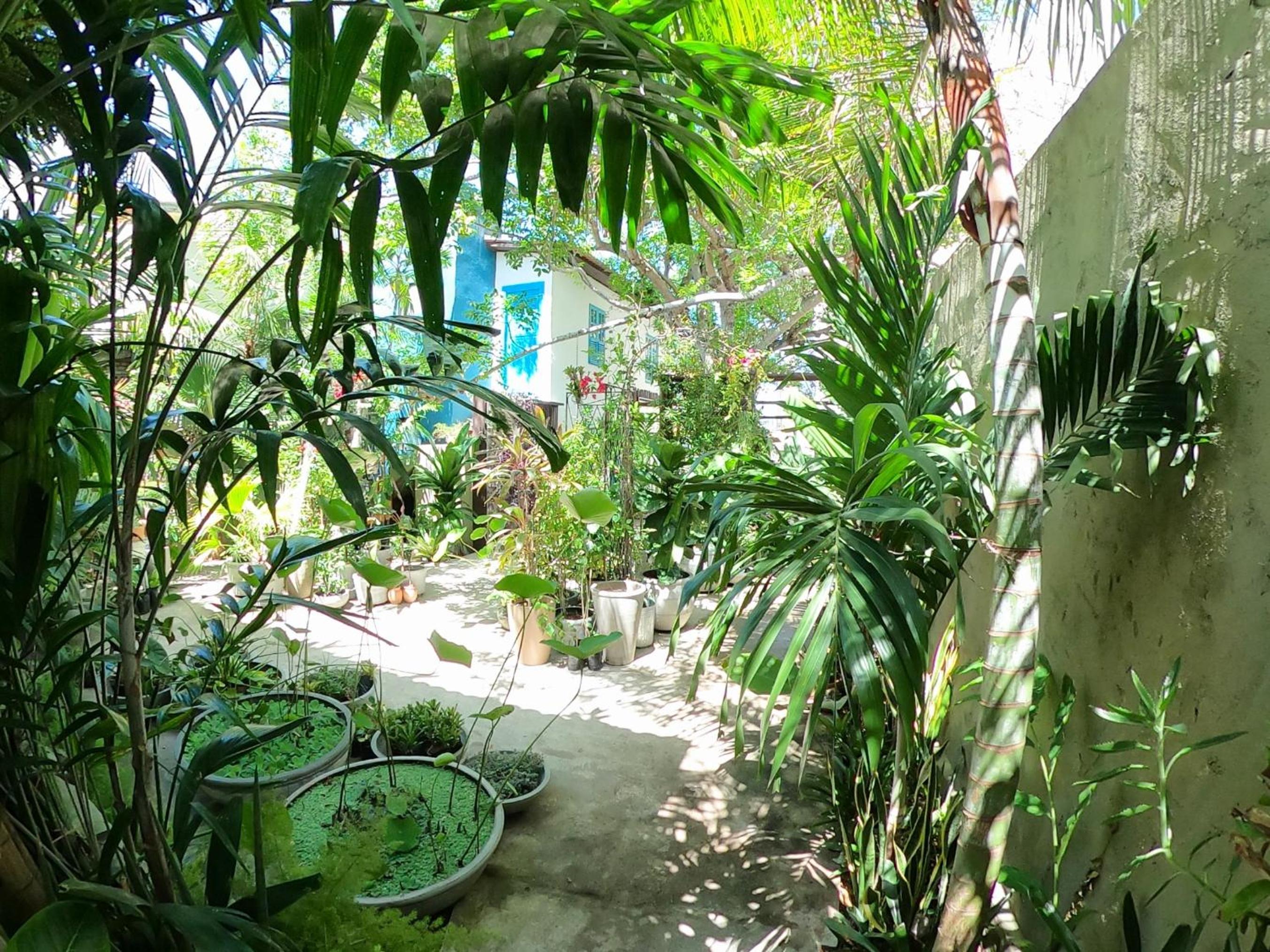 Residencial Casa Flor Atelier Botânico, Ponta Negra