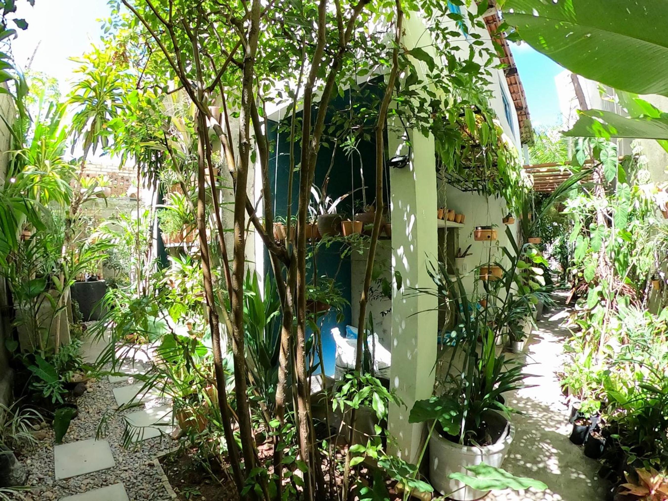 Residencial Casa Flor Atelier Botânico, Ponta Negra