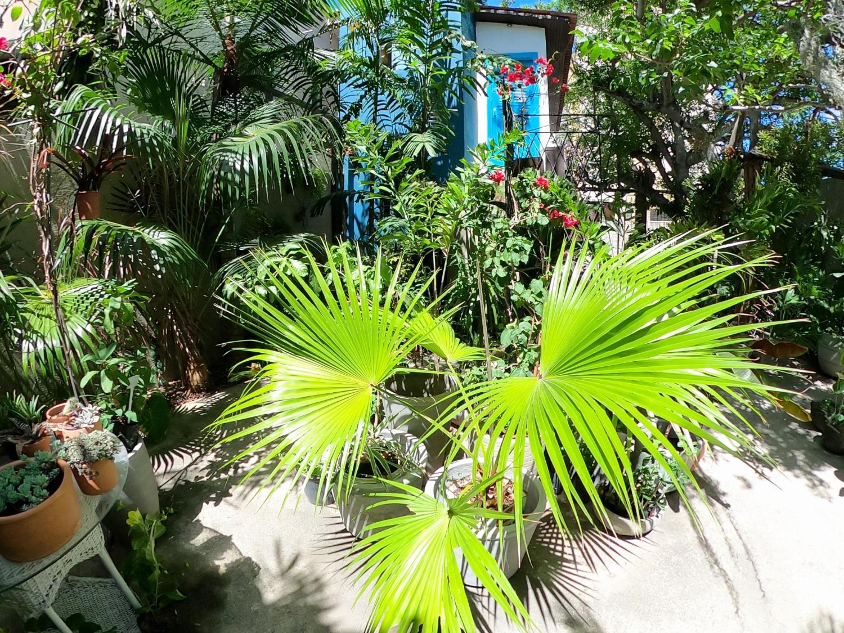 Residencial Casa Flor Atelier Botânico, Ponta Negra