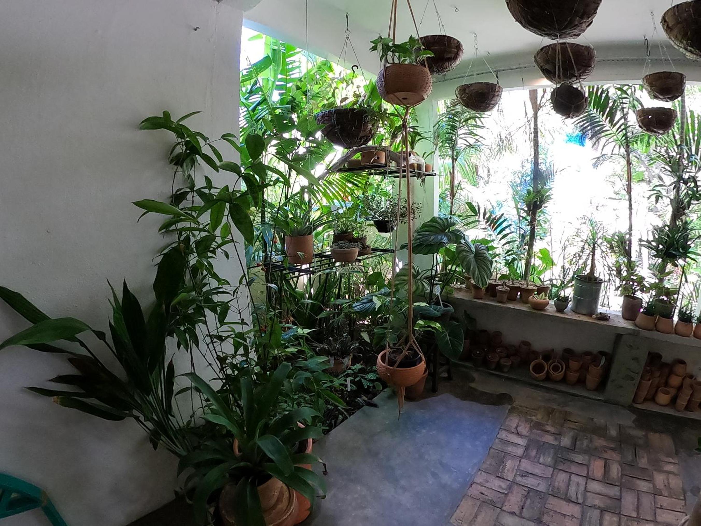 Residencial Casa Flor Atelier Botânico, Ponta Negra