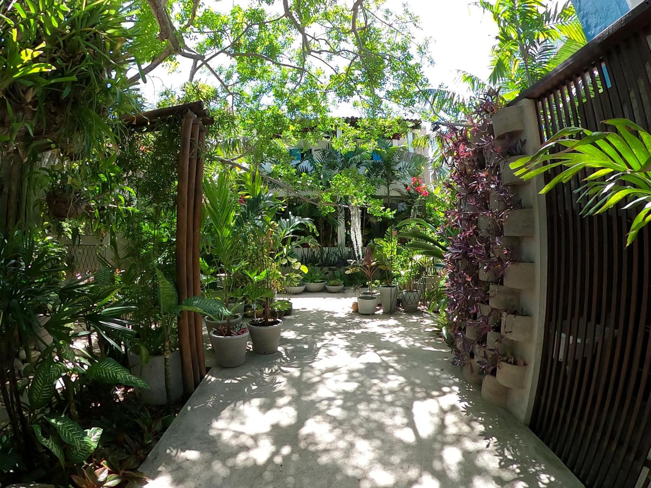 Residencial Casa Flor Atelier Botânico, Ponta Negra