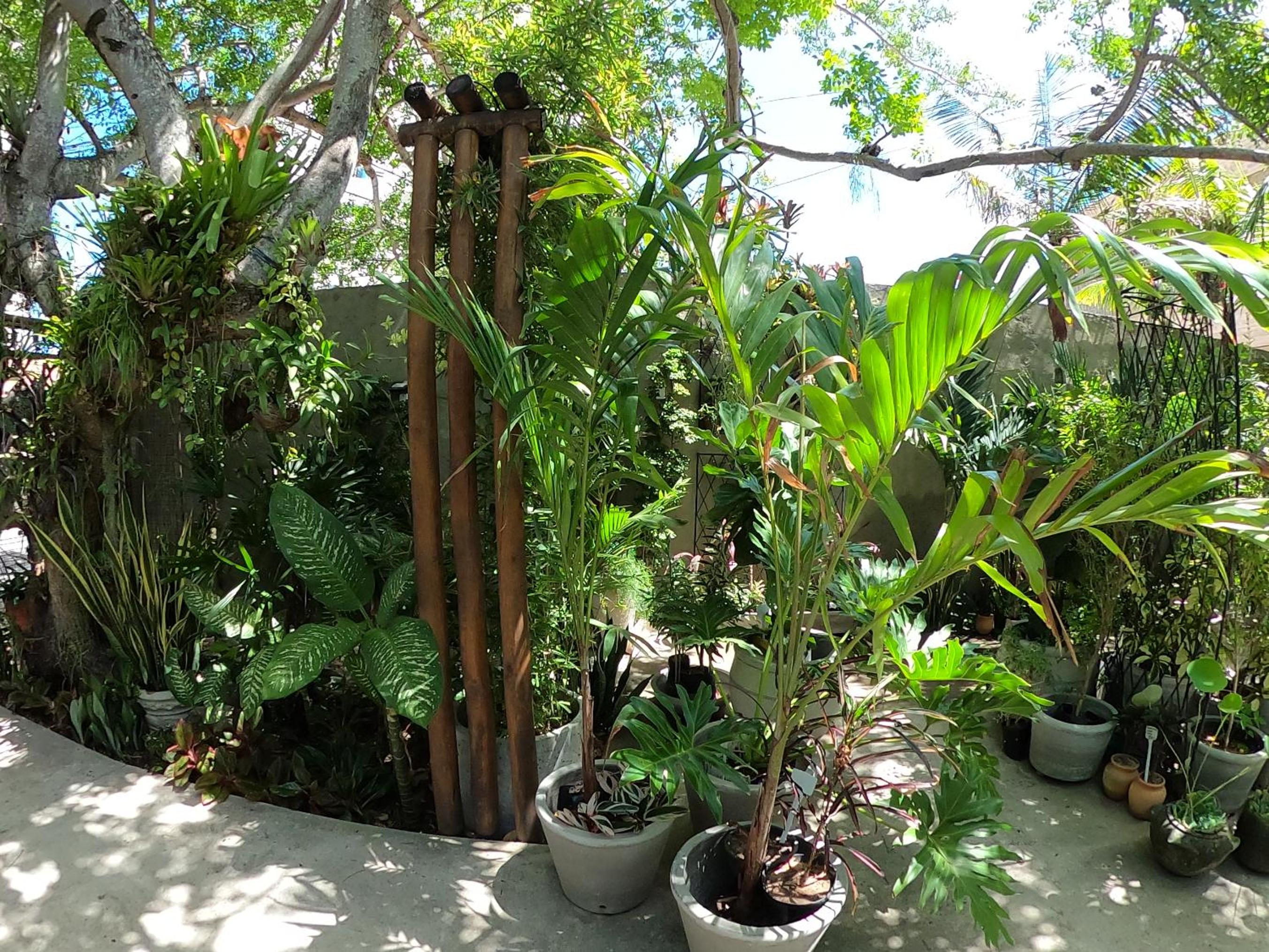Residencial Casa Flor Atelier Botânico, Ponta Negra
