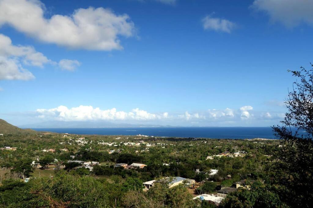 Oceanview Apartment with Garden Access view 5