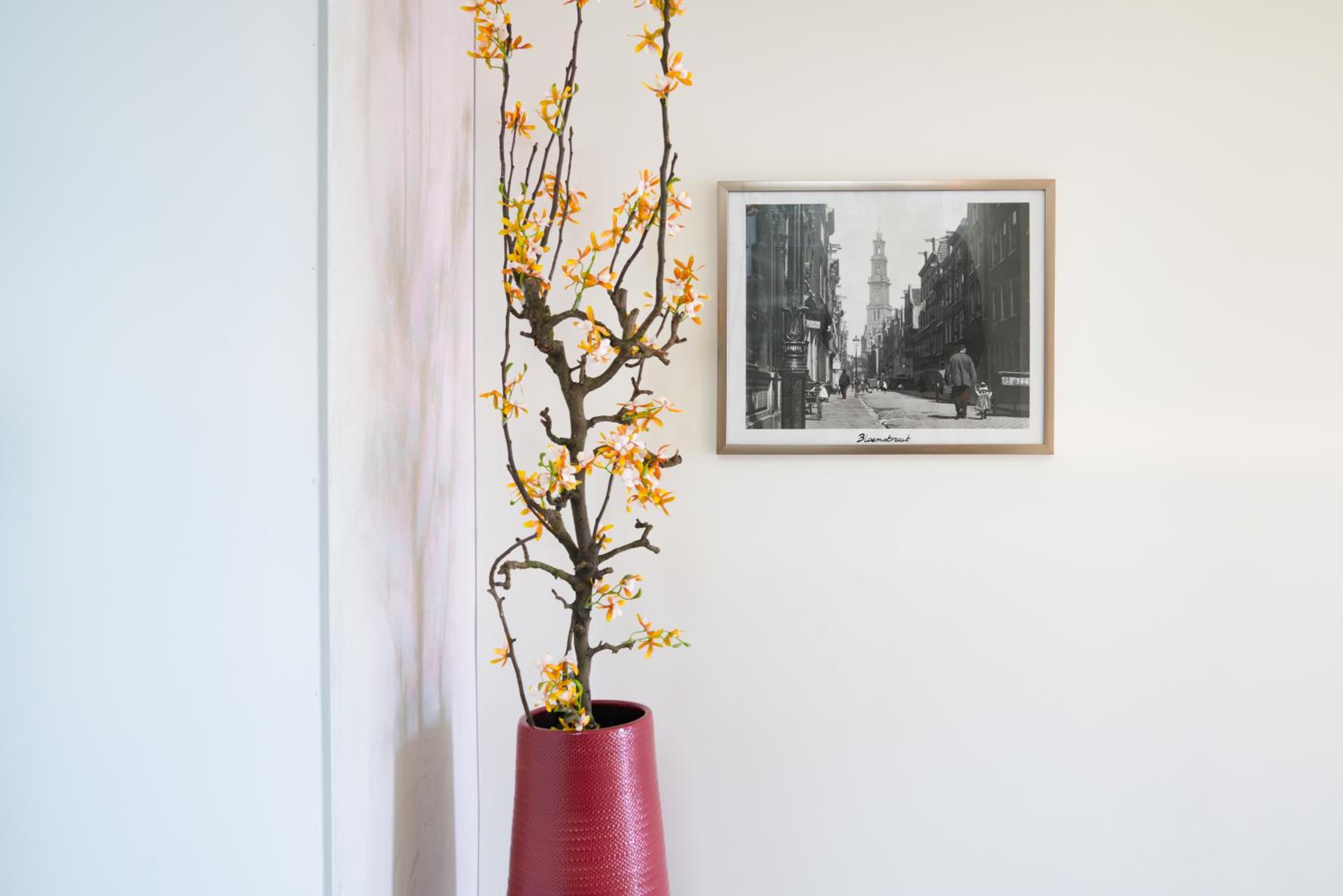 Huis met de krul photo 5