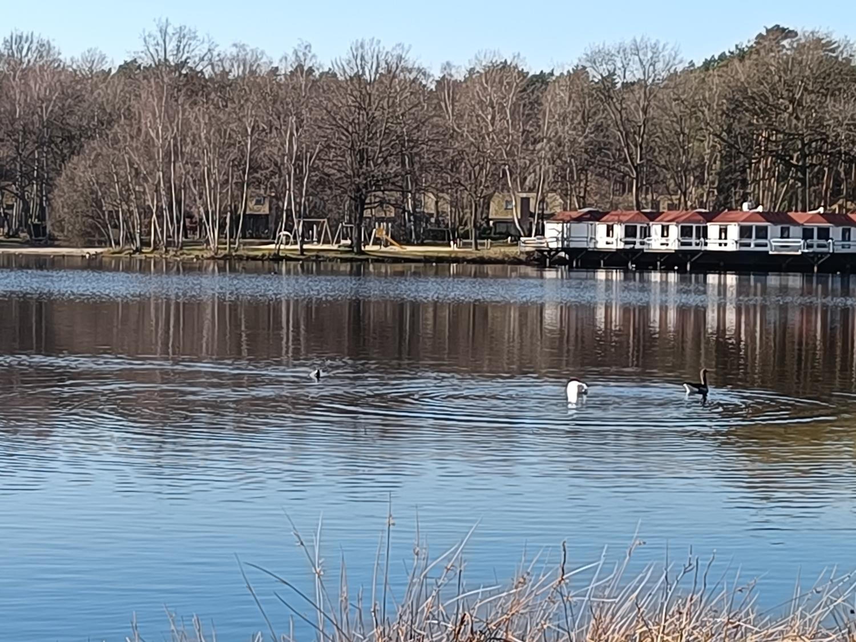 Lauwie 14