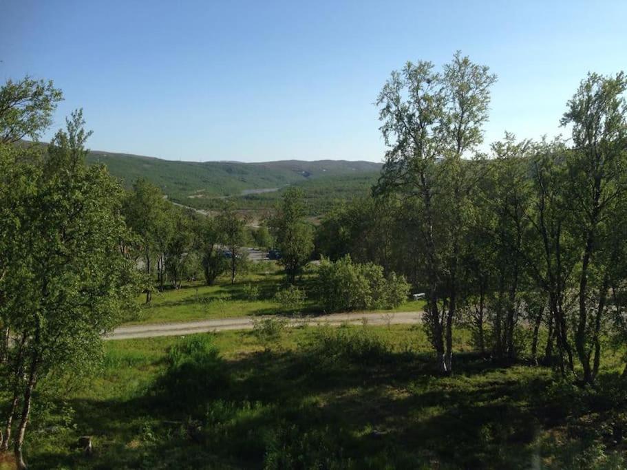Feriehus med ti senger på Skaidi