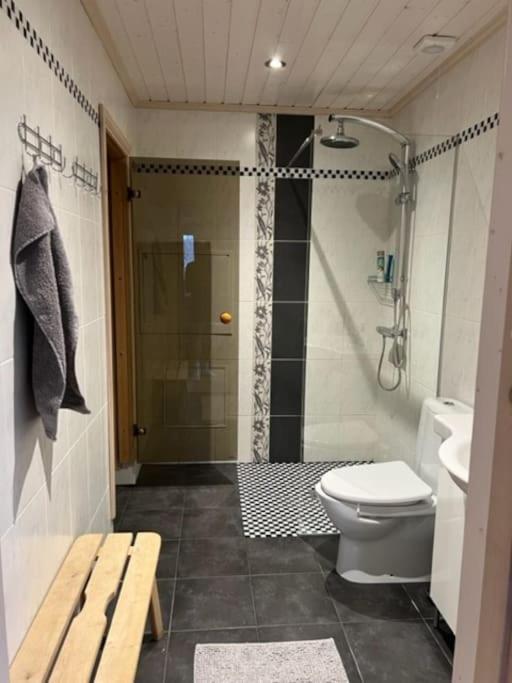 Feriehus med ti senger på Skaidi
