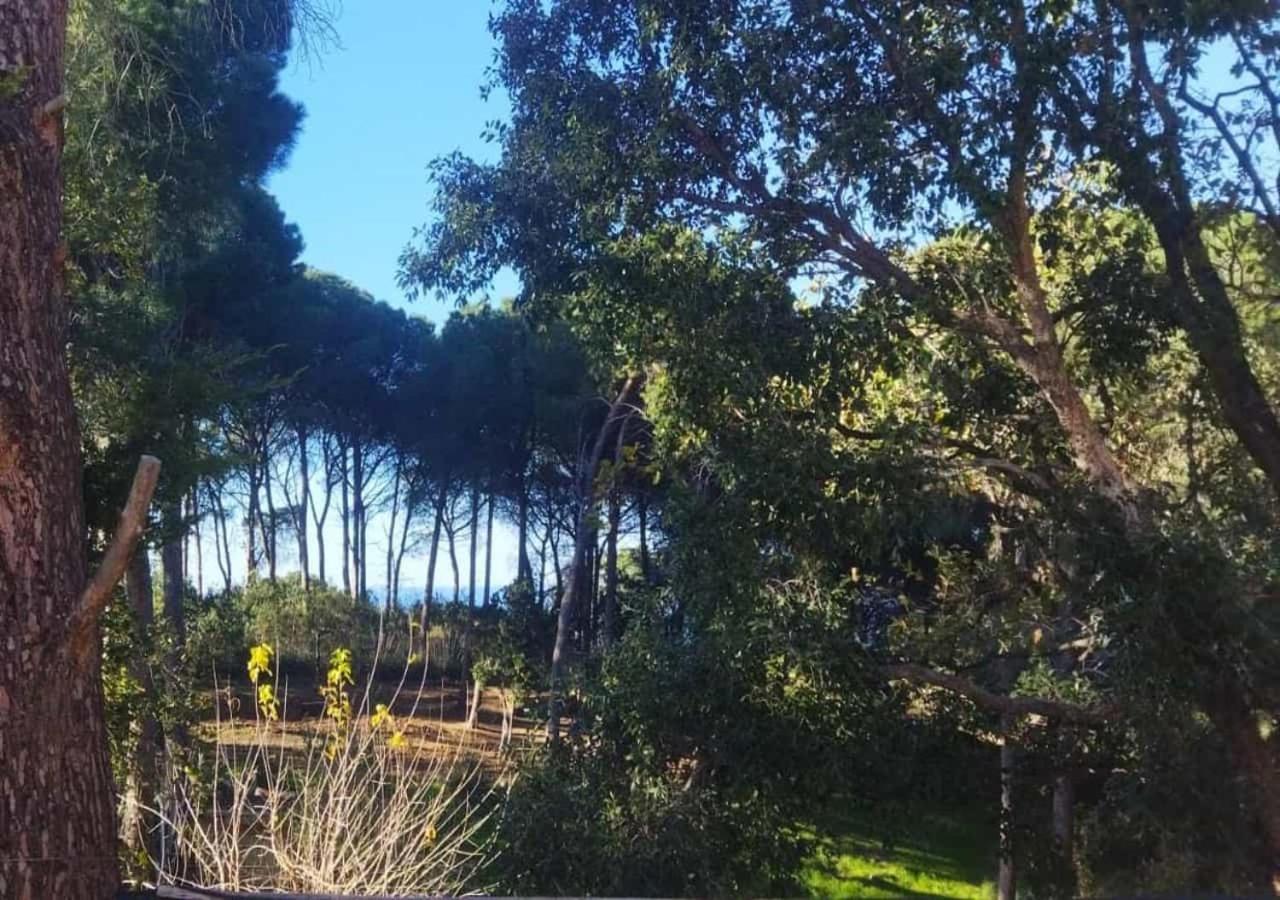 Seawoods - Nature Experience view 3