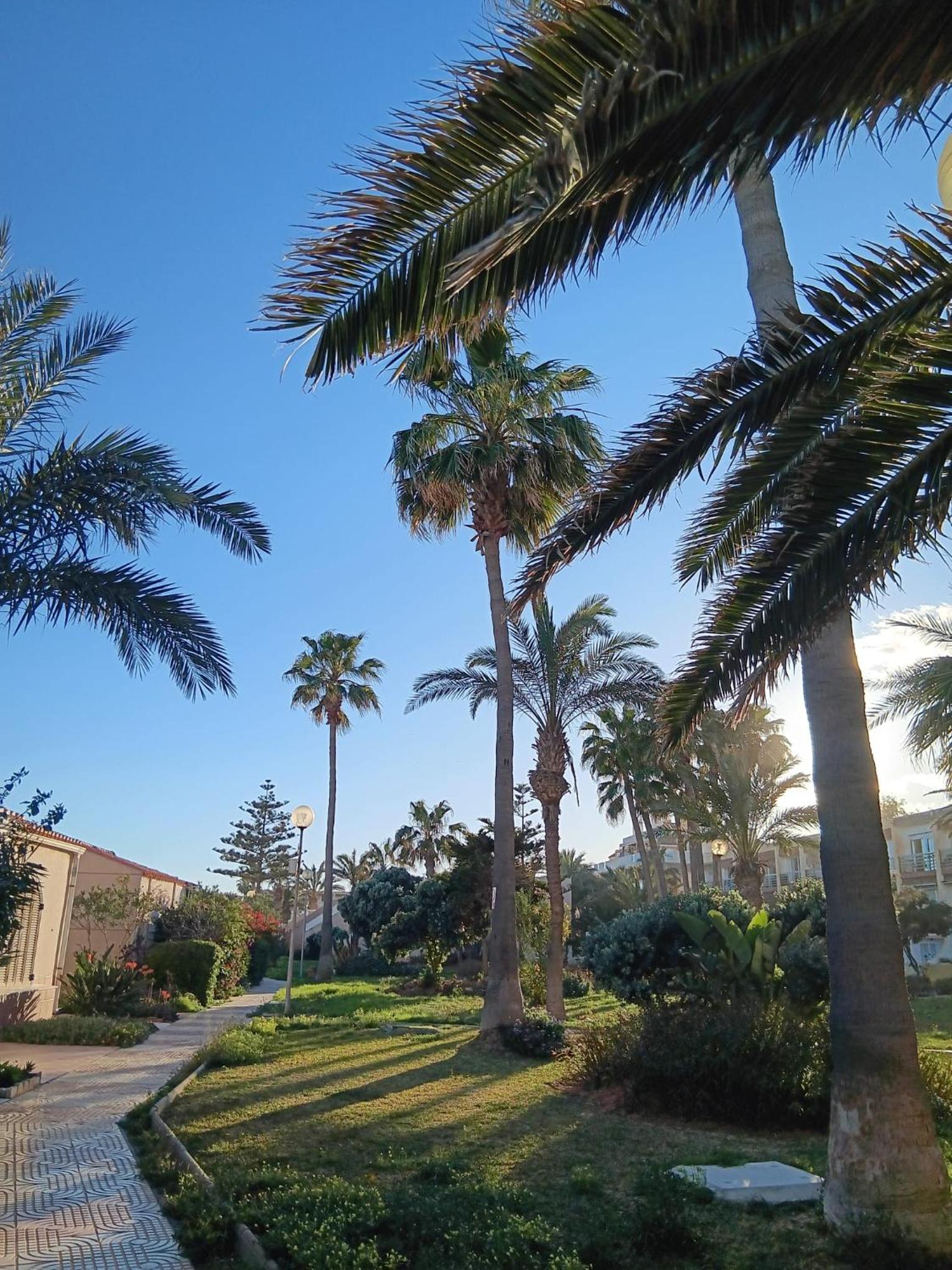 Tropicana playa
