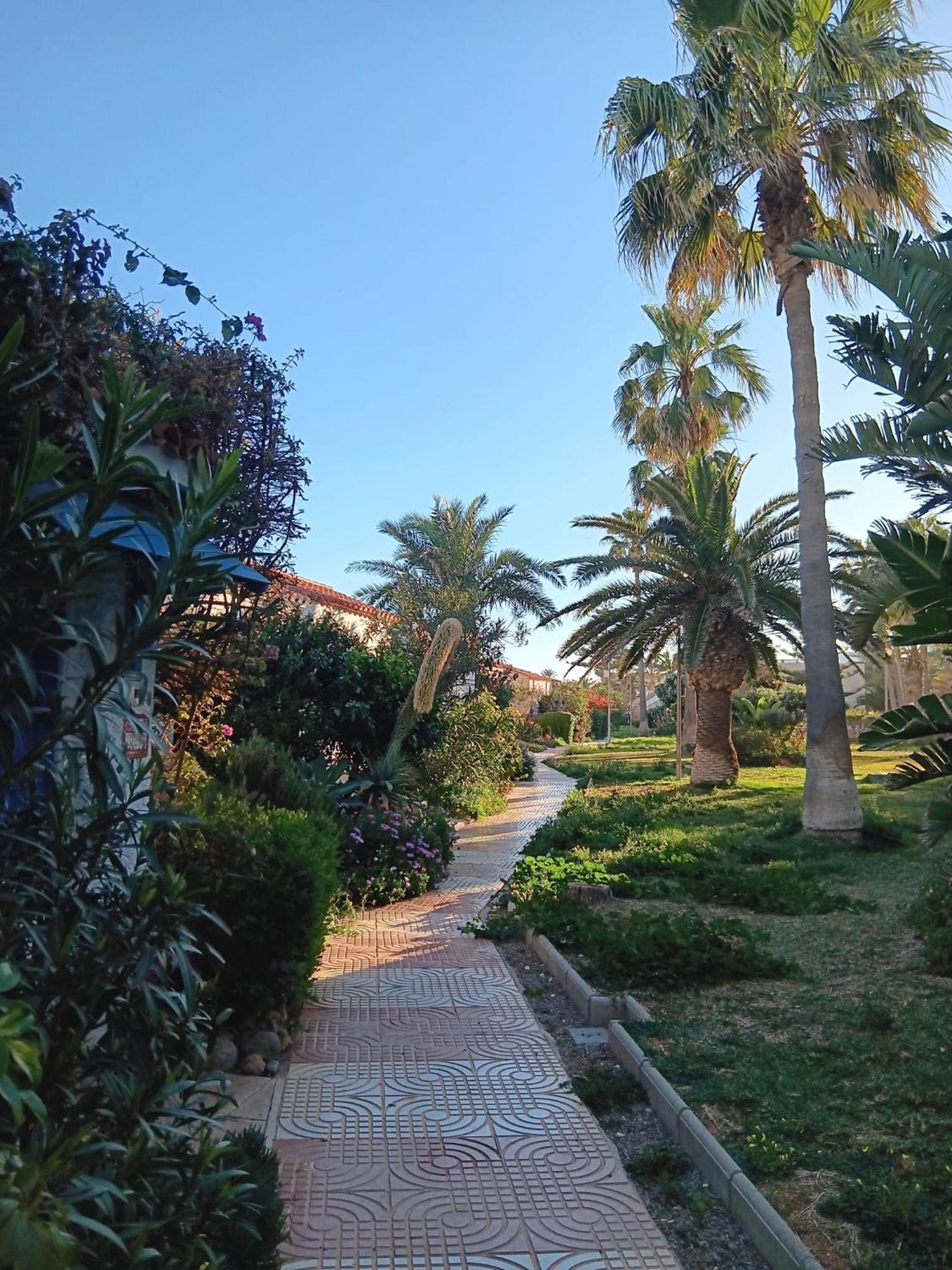 Tropicana playa