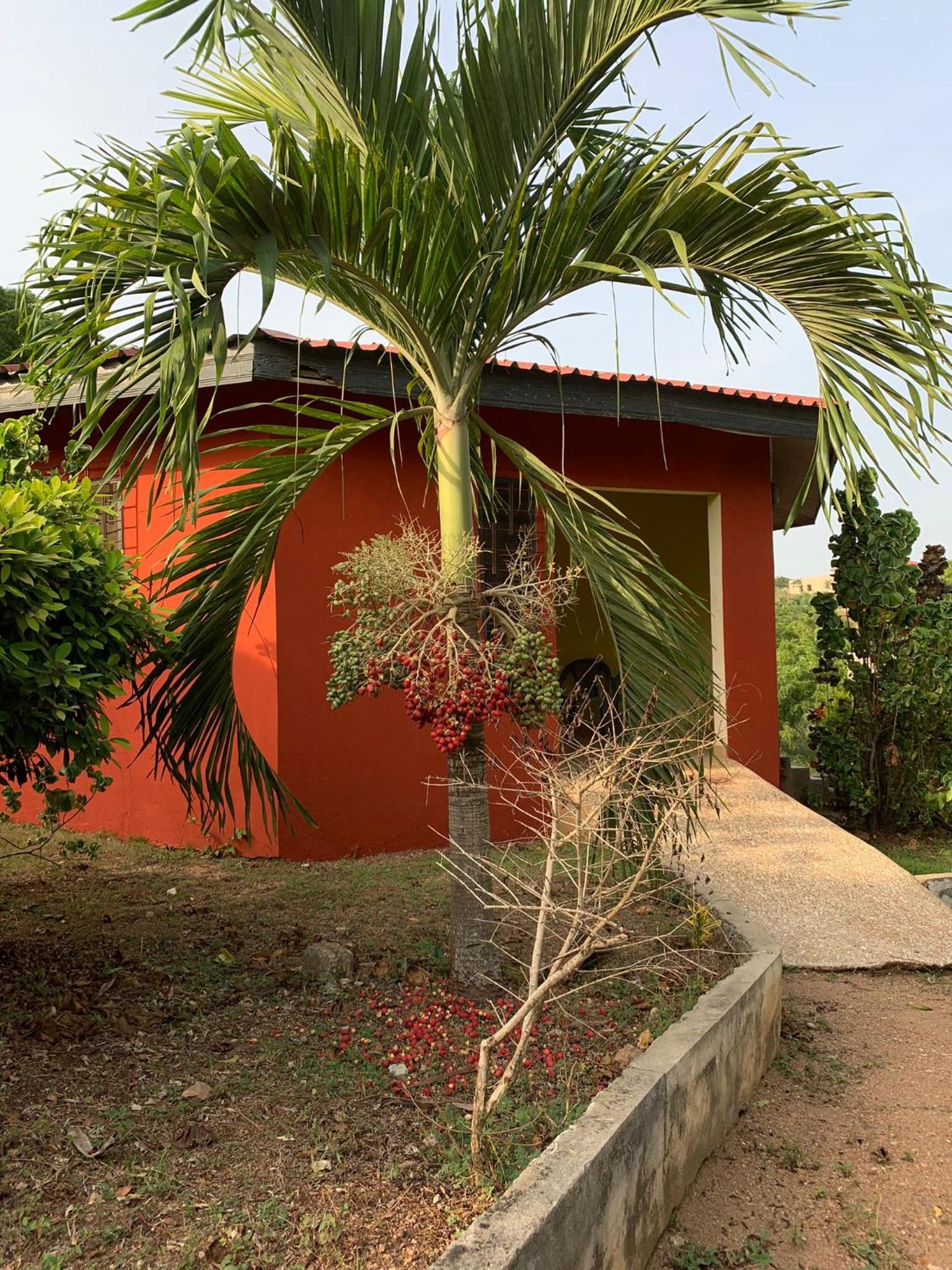 Paradise Ocean Resort