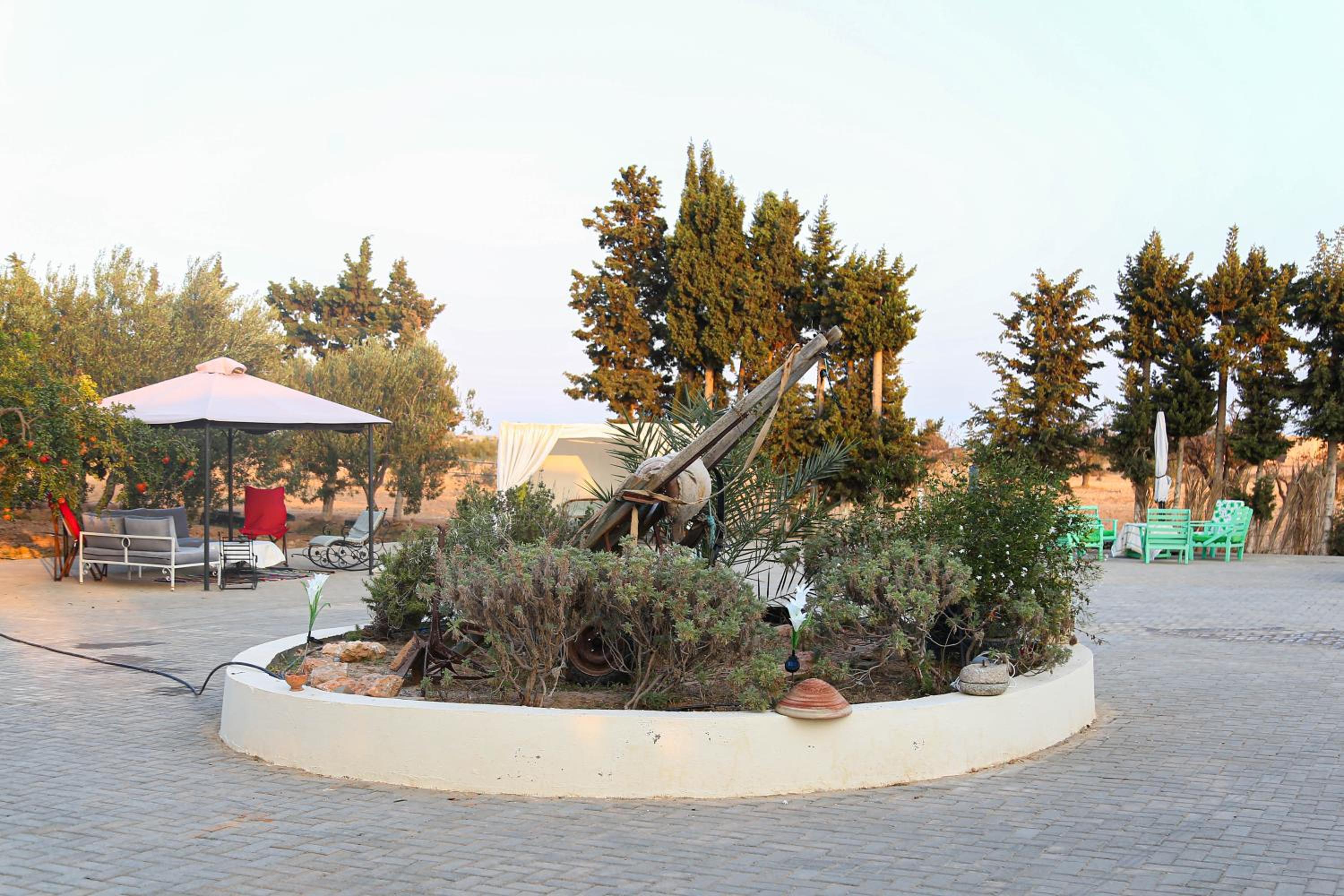 Photo 11