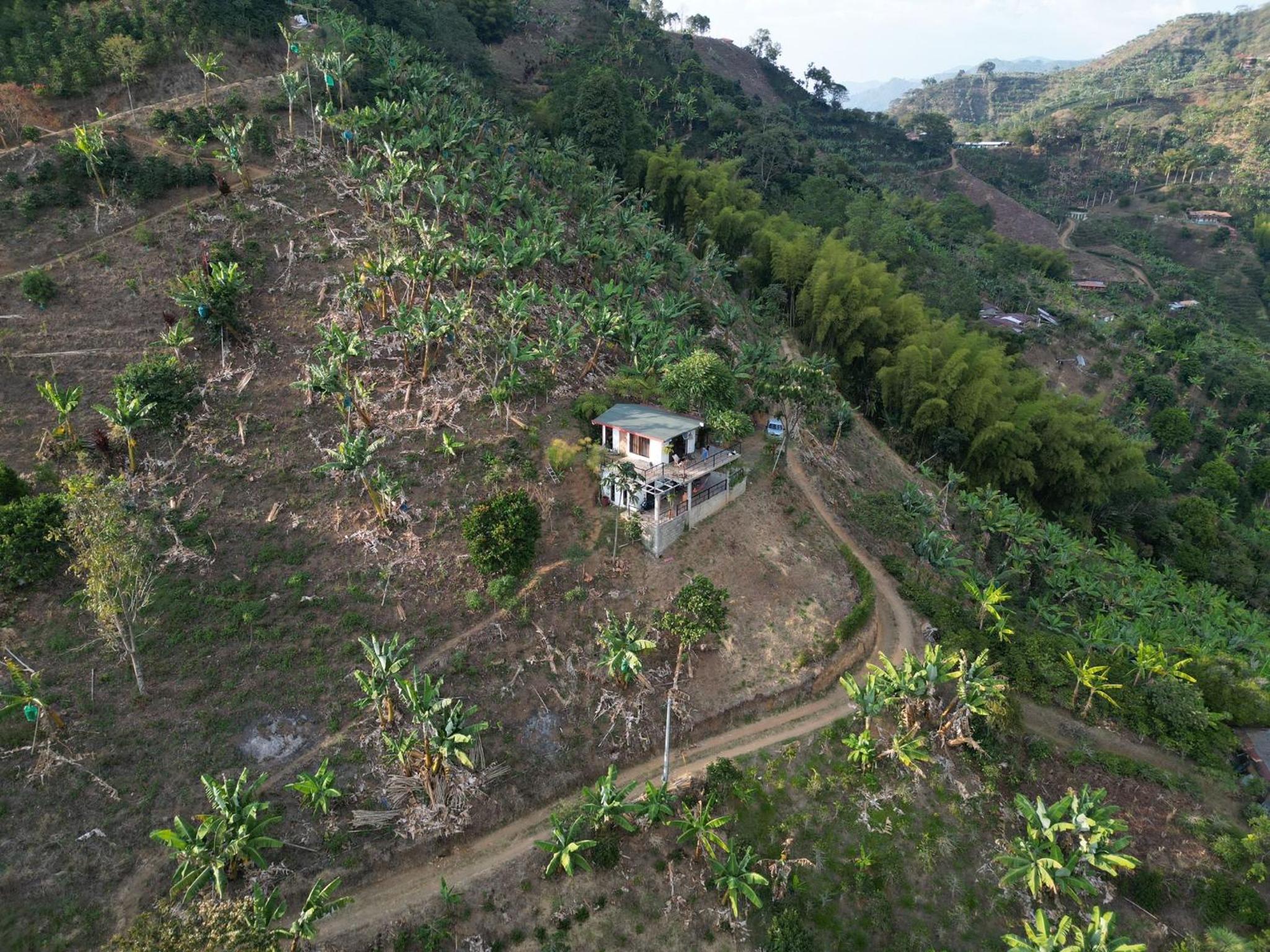 Montecafé Jardín