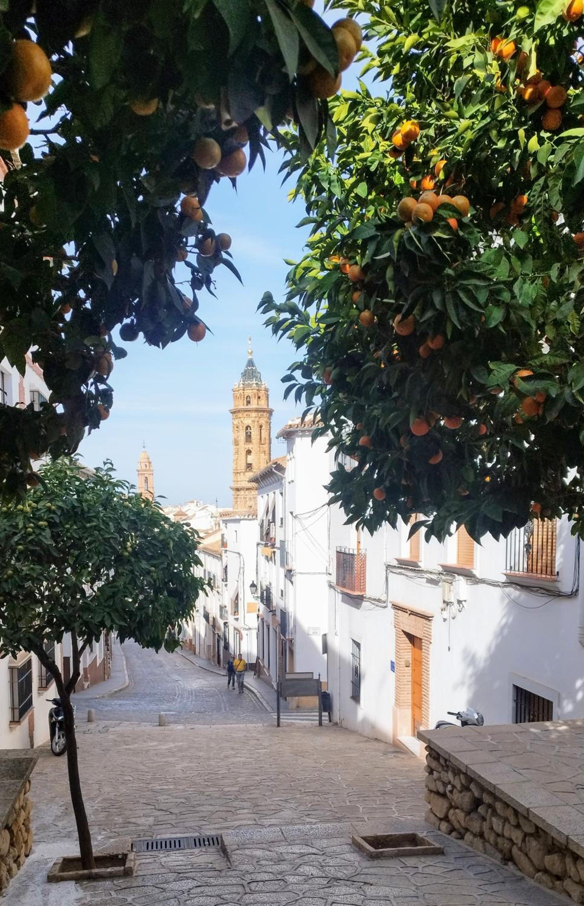 Apto I Santa Clara centro
