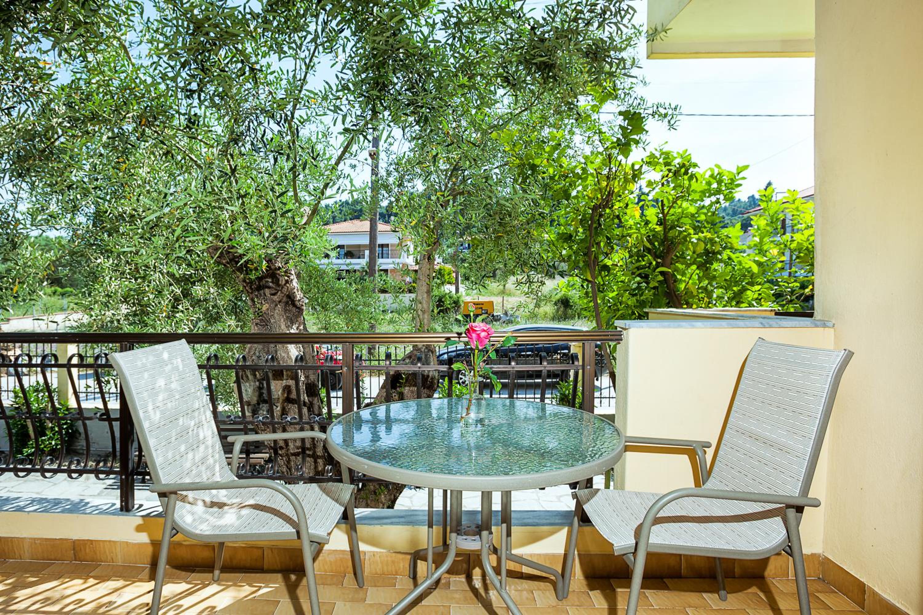 Lemon Garden