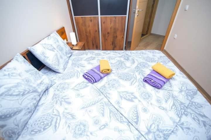 Apartman Vasa Zlatibor view 5