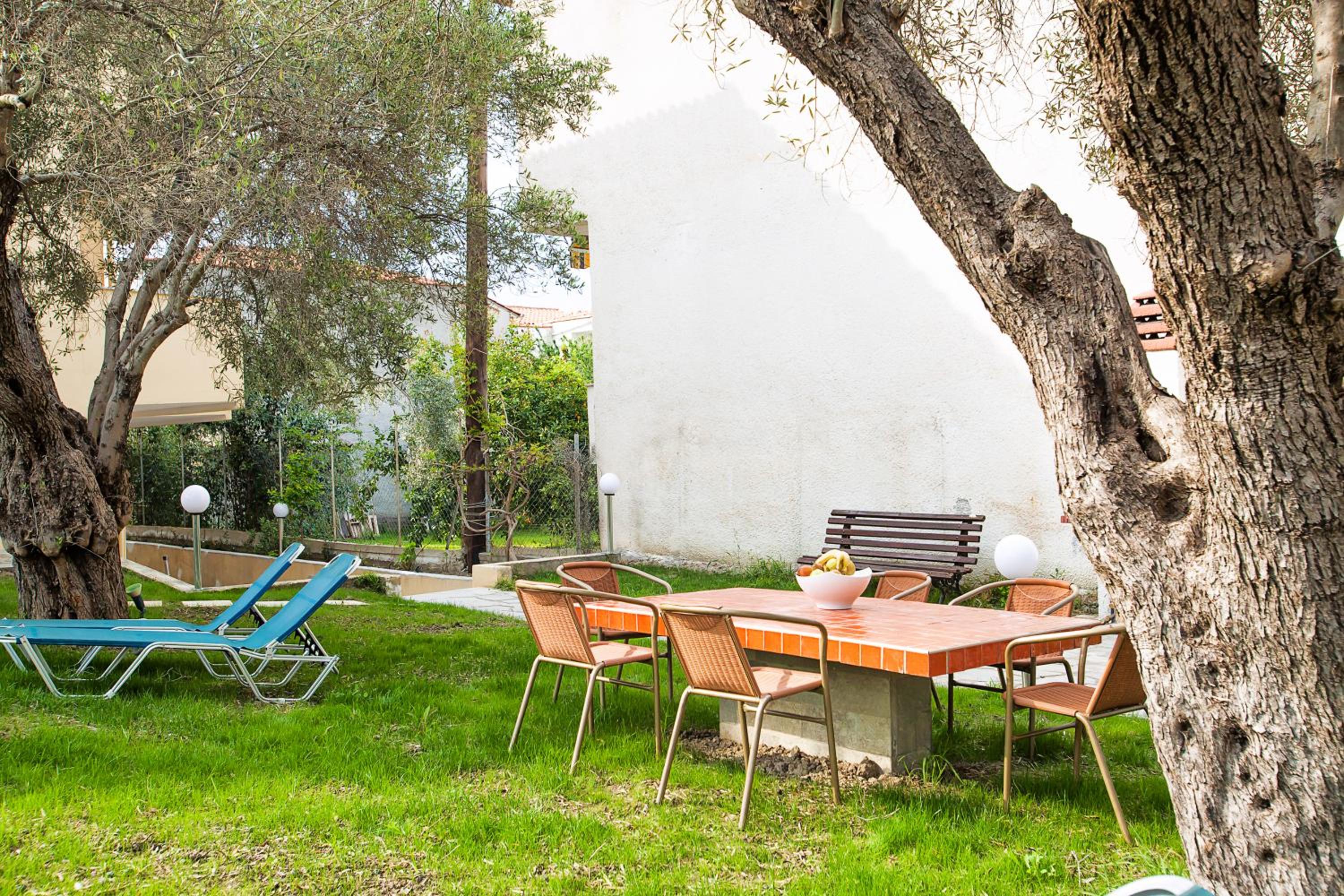 Lemon Garden