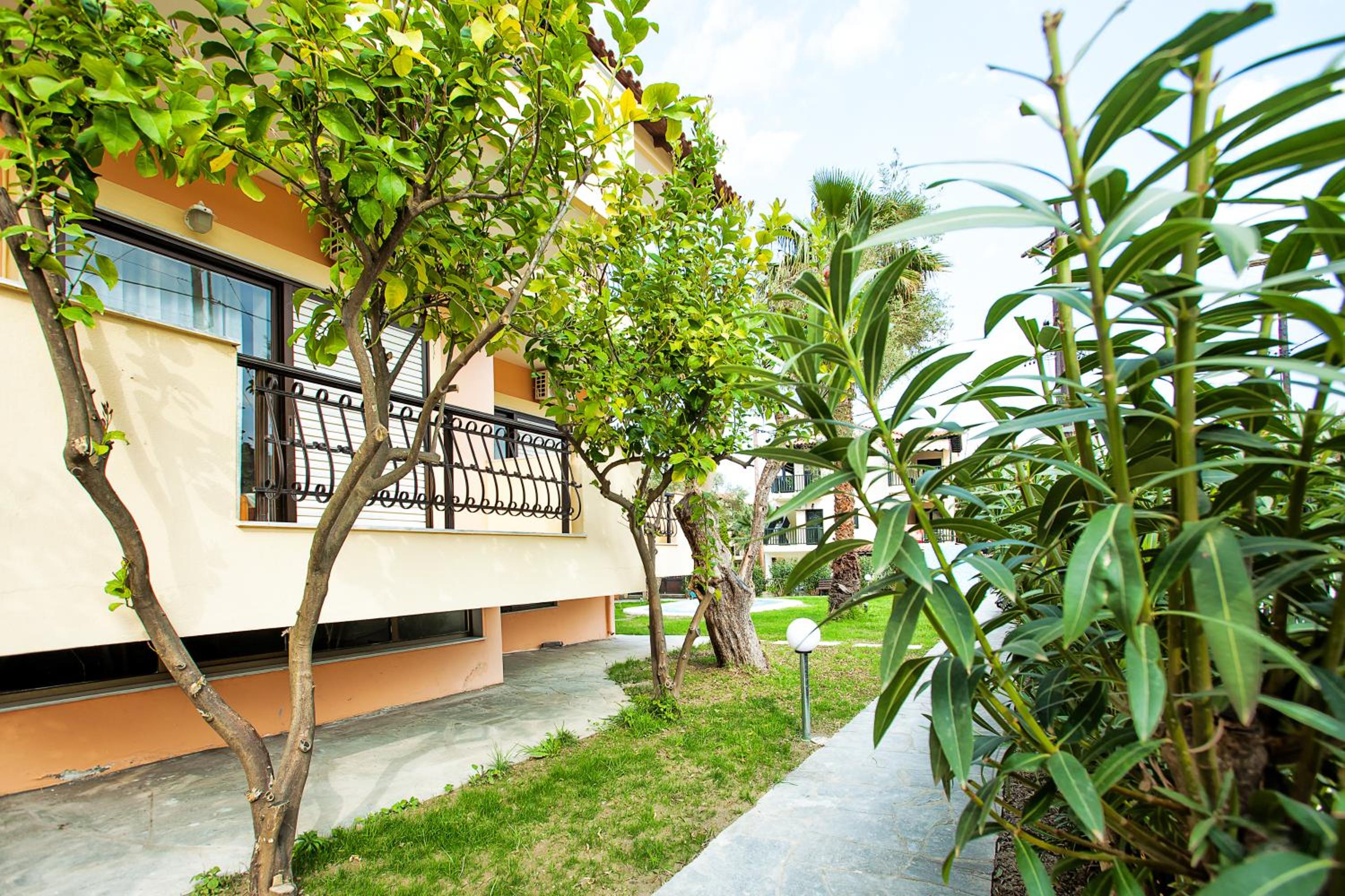 Lemon Garden