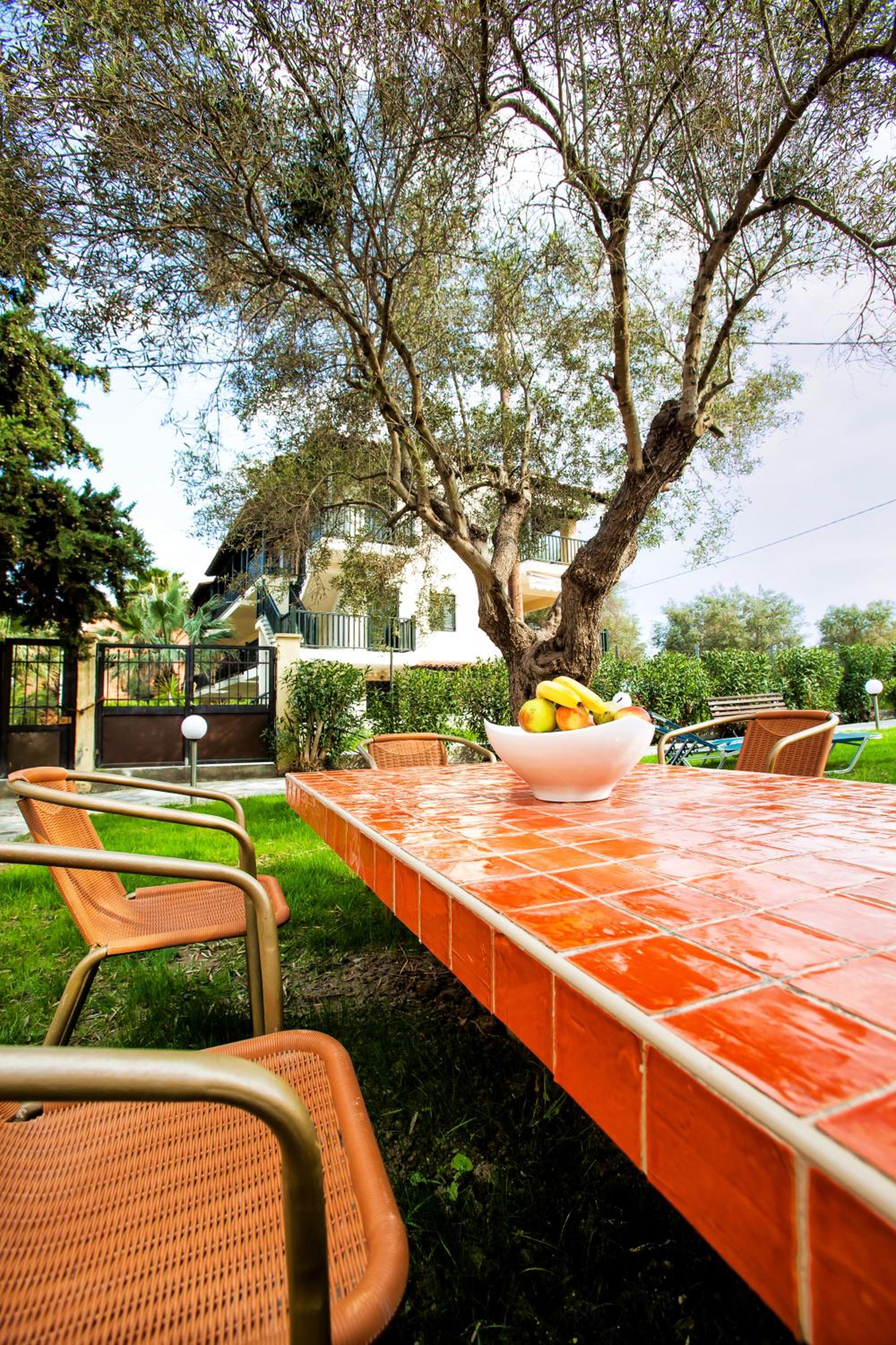 Lemon Garden