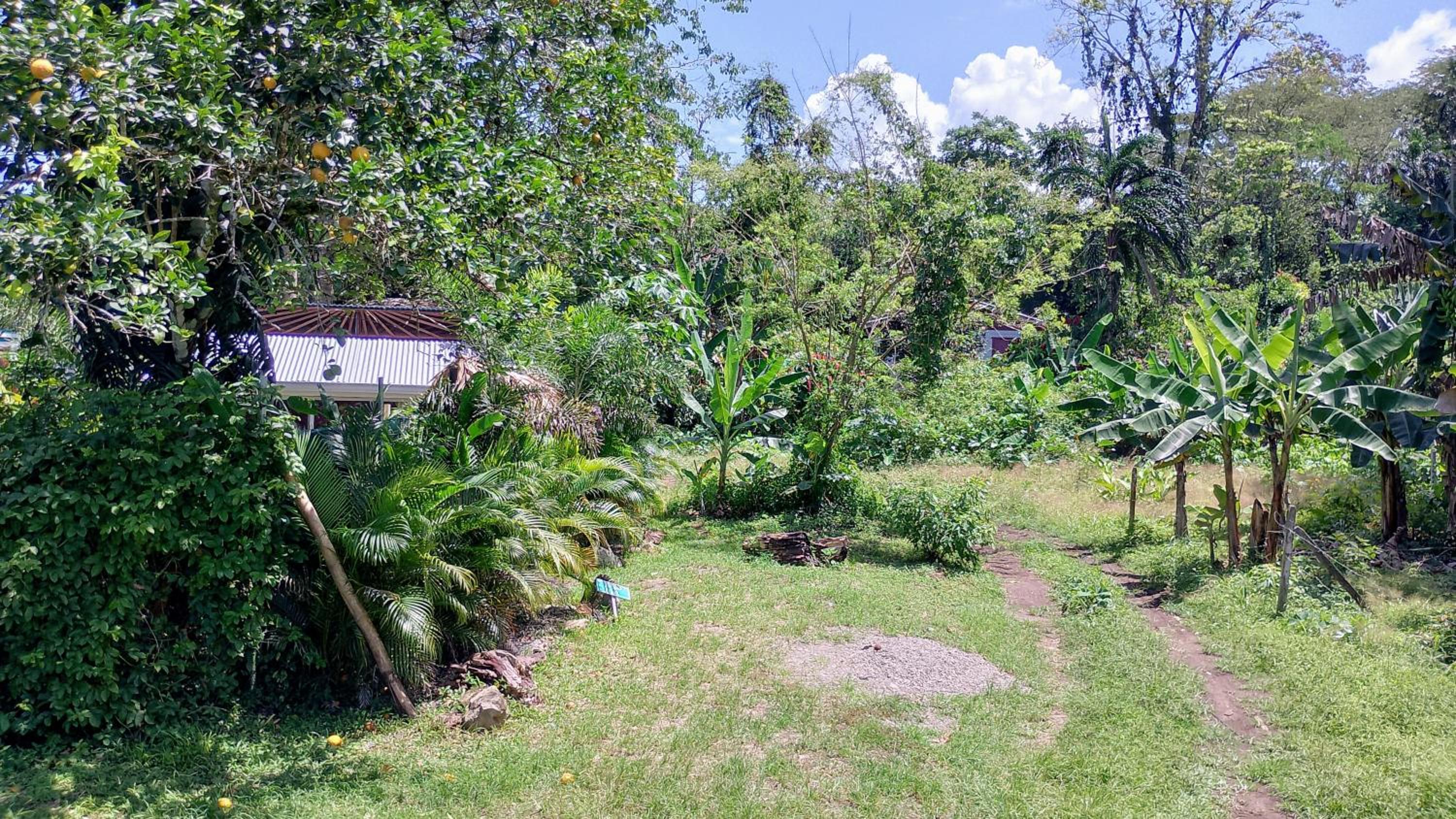 El Tucan Feliz - Boho Jungle Tiny Guest House & Mini Pool Oasis