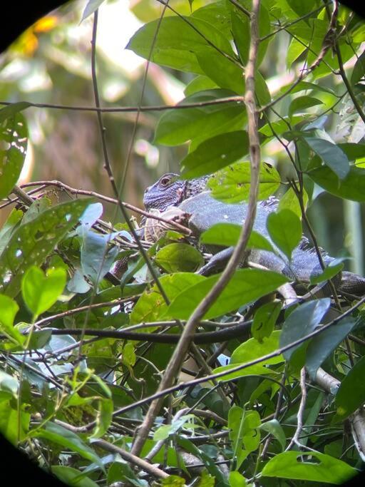 Vimanas Surf Shack