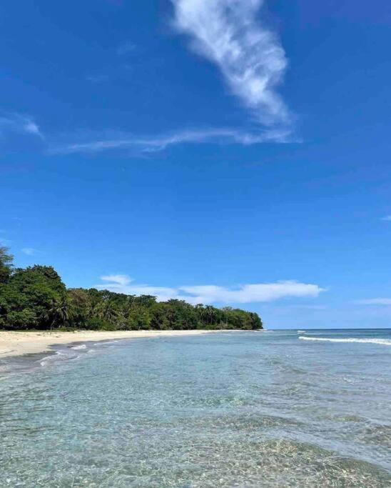 Vimanas Surf Shack