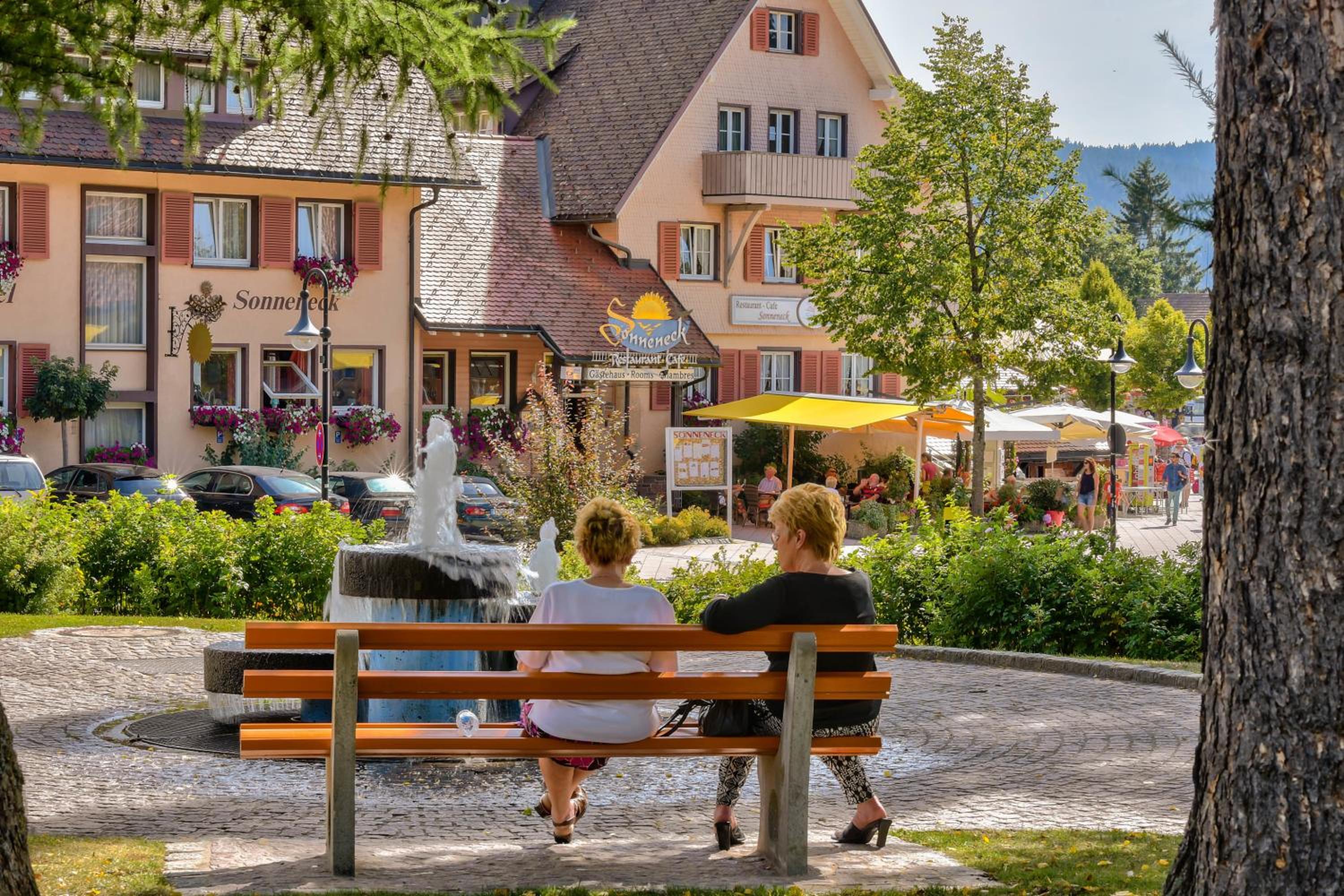 Hotel Sonneneck Titisee -Adults Only- - Property Image 19