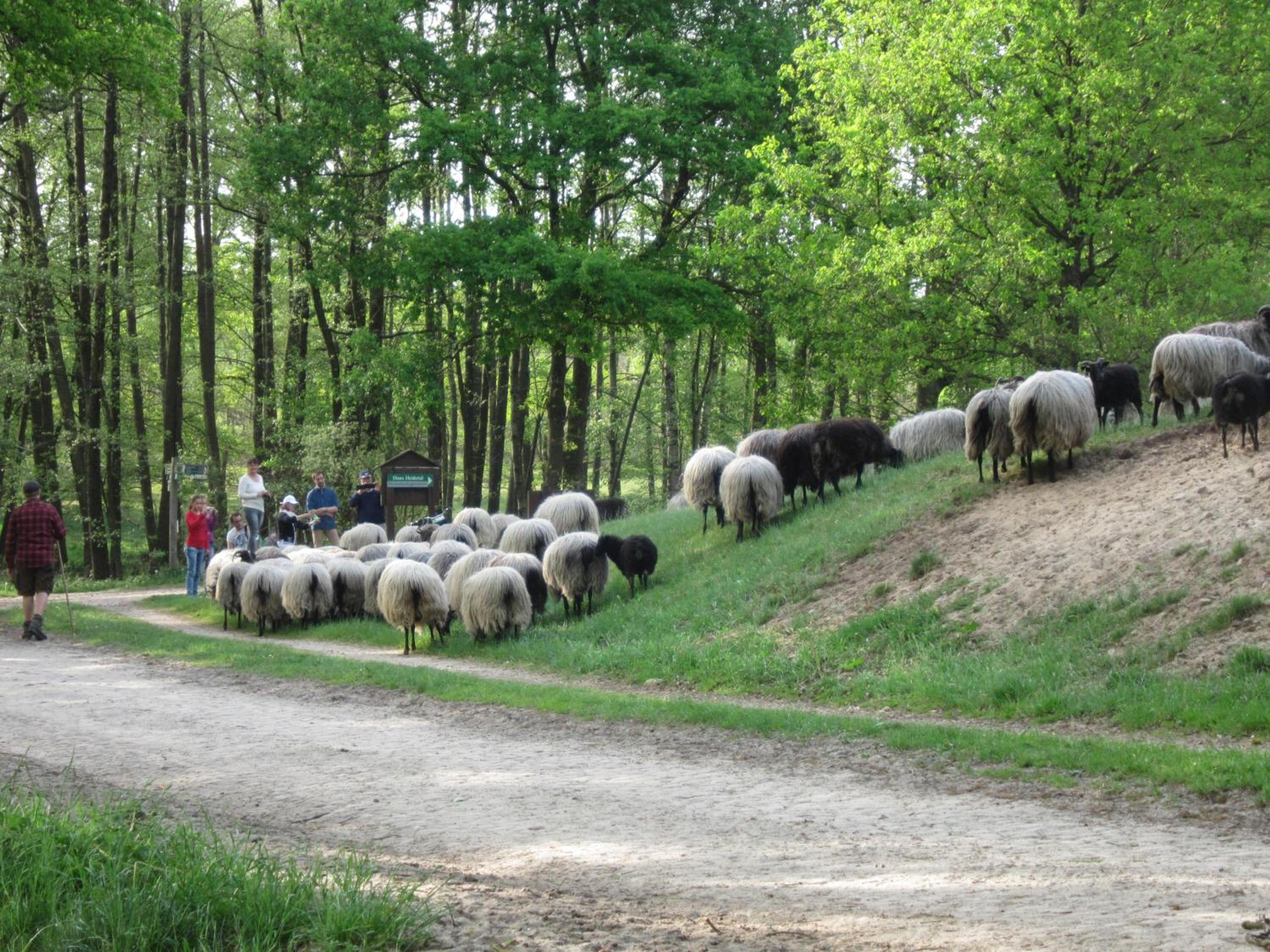 Haus Heidetal