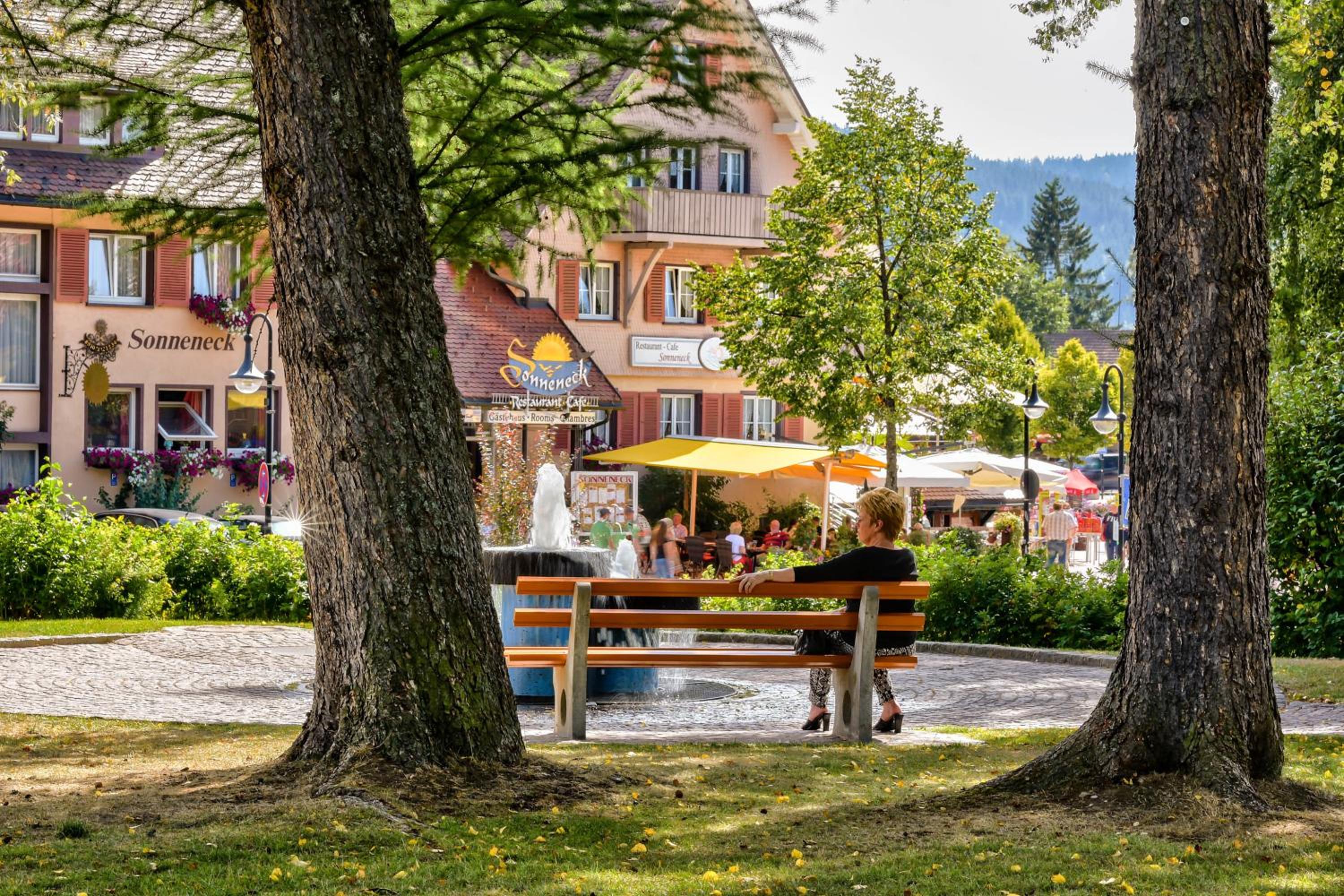 Hotel Sonneneck Titisee -Adults Only- - Property Image 26