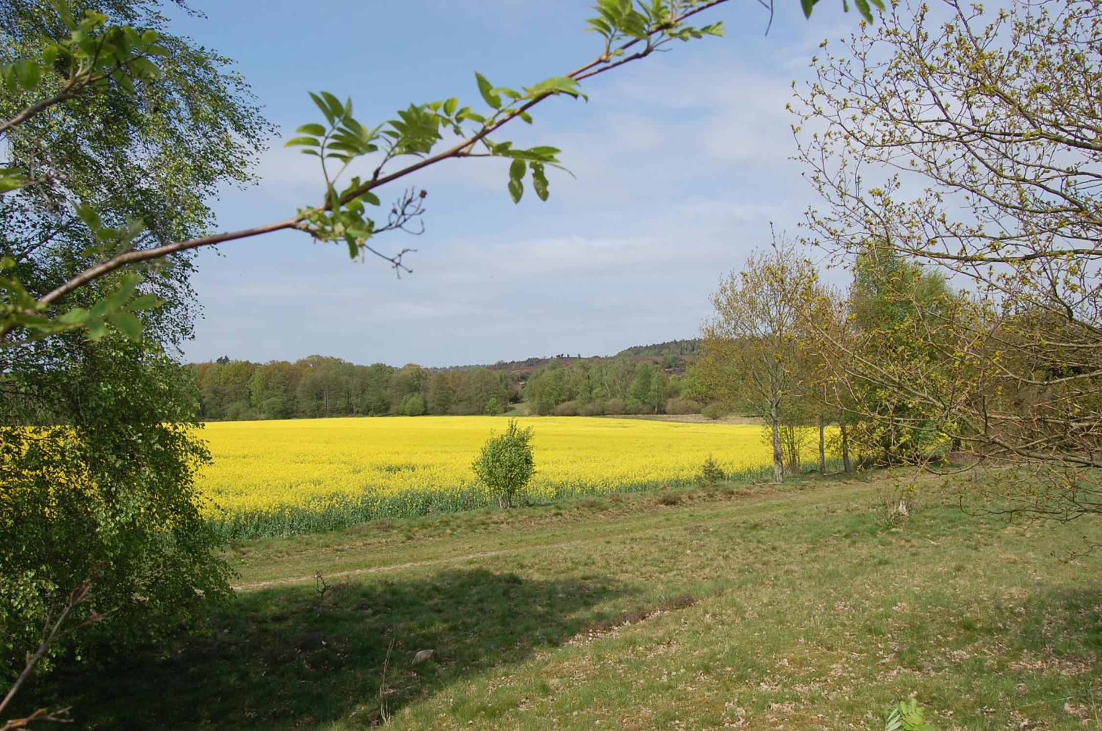 Haus Heidetal