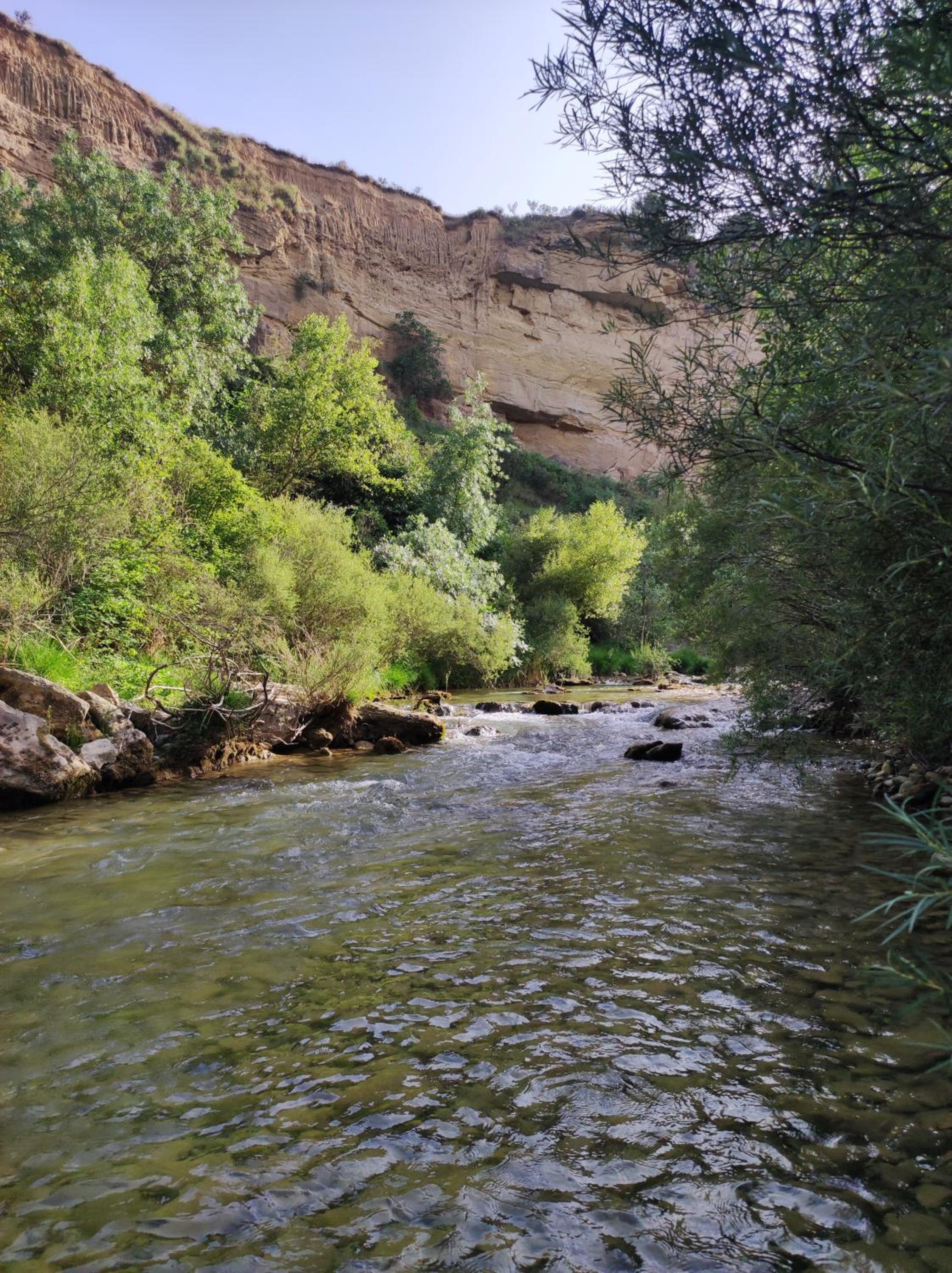 Photo 29