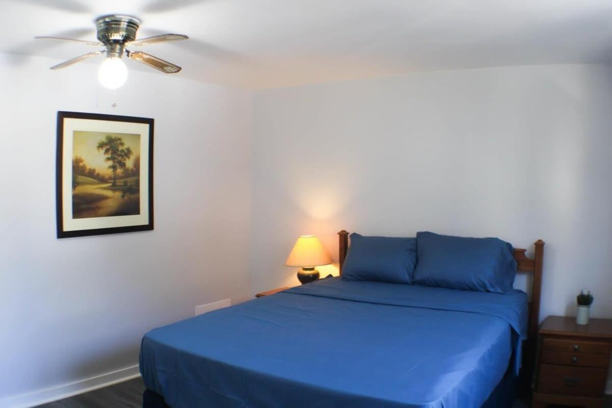 Newly Renovated 2-Bed near Downtown-North Shore view 3