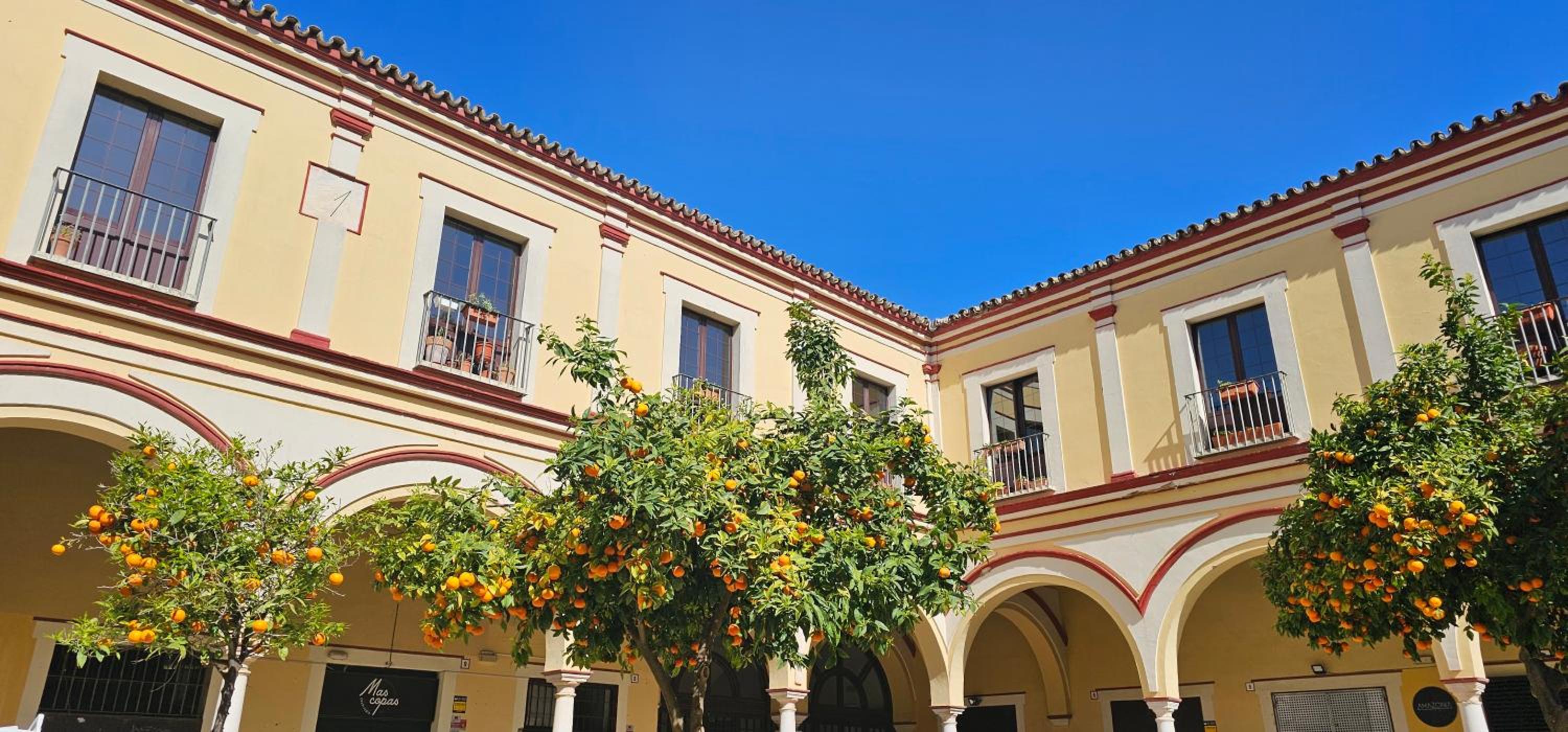 Tartaneros Duplex by Sanlúcar Housing