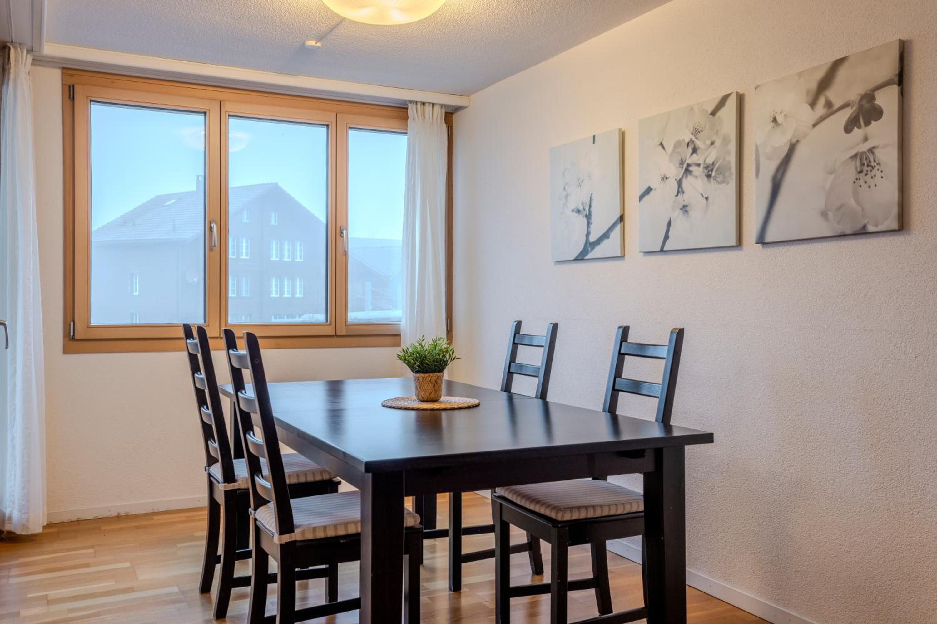Chalet Apartments Iseltwald view 4