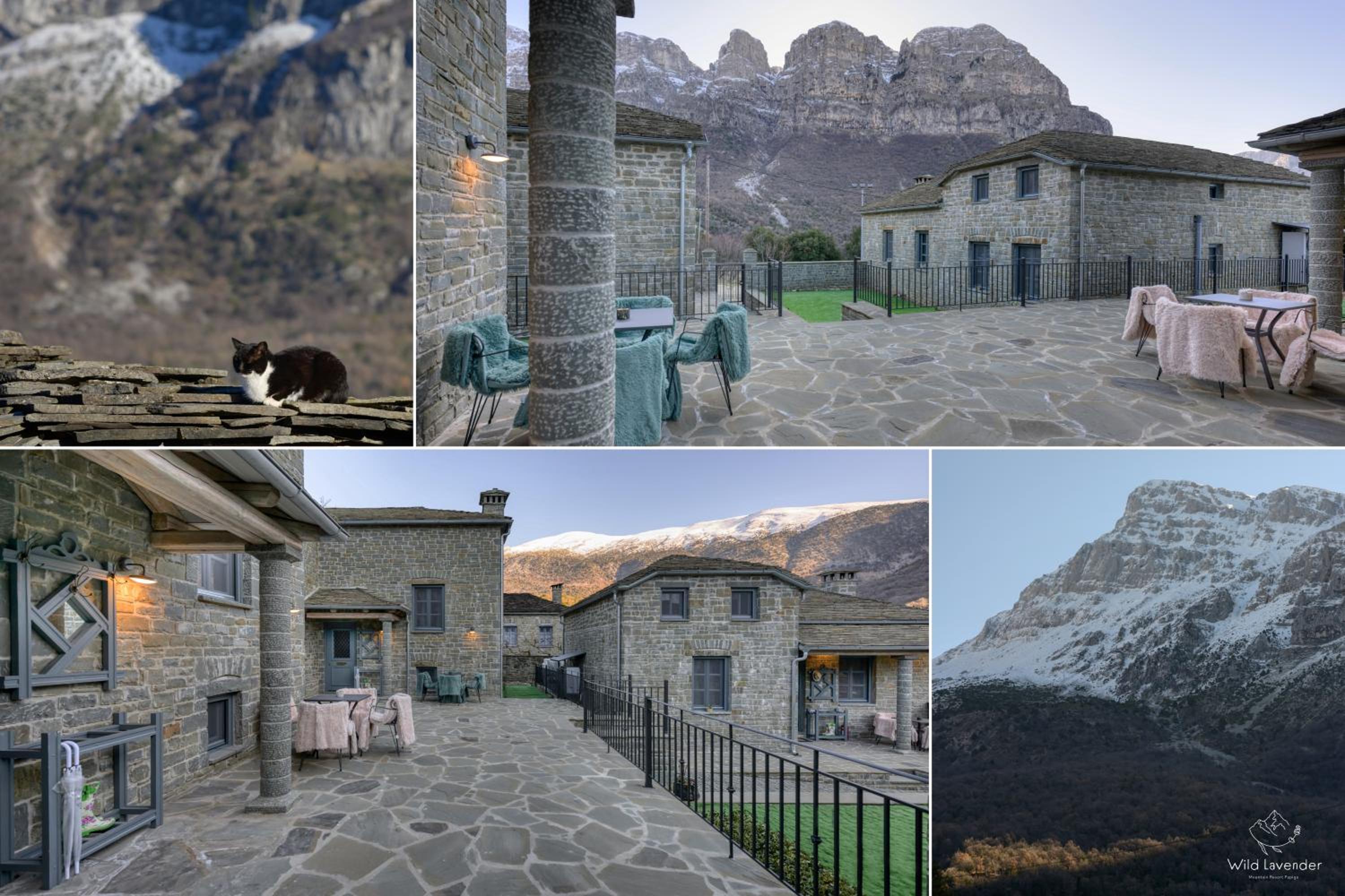 Wild Lavender Mountain Resort